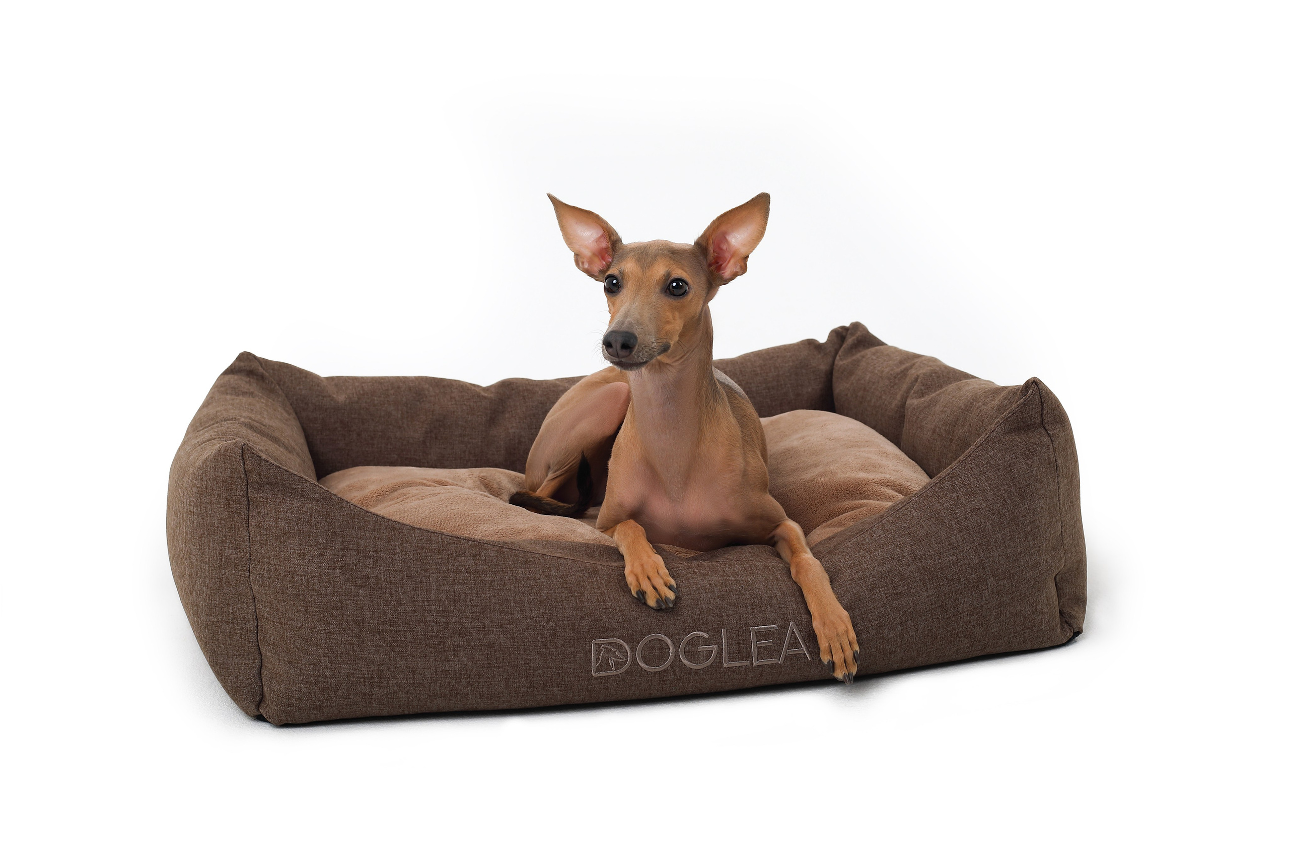 Для брендов. Фотограф- анималист Санкт-Петербург