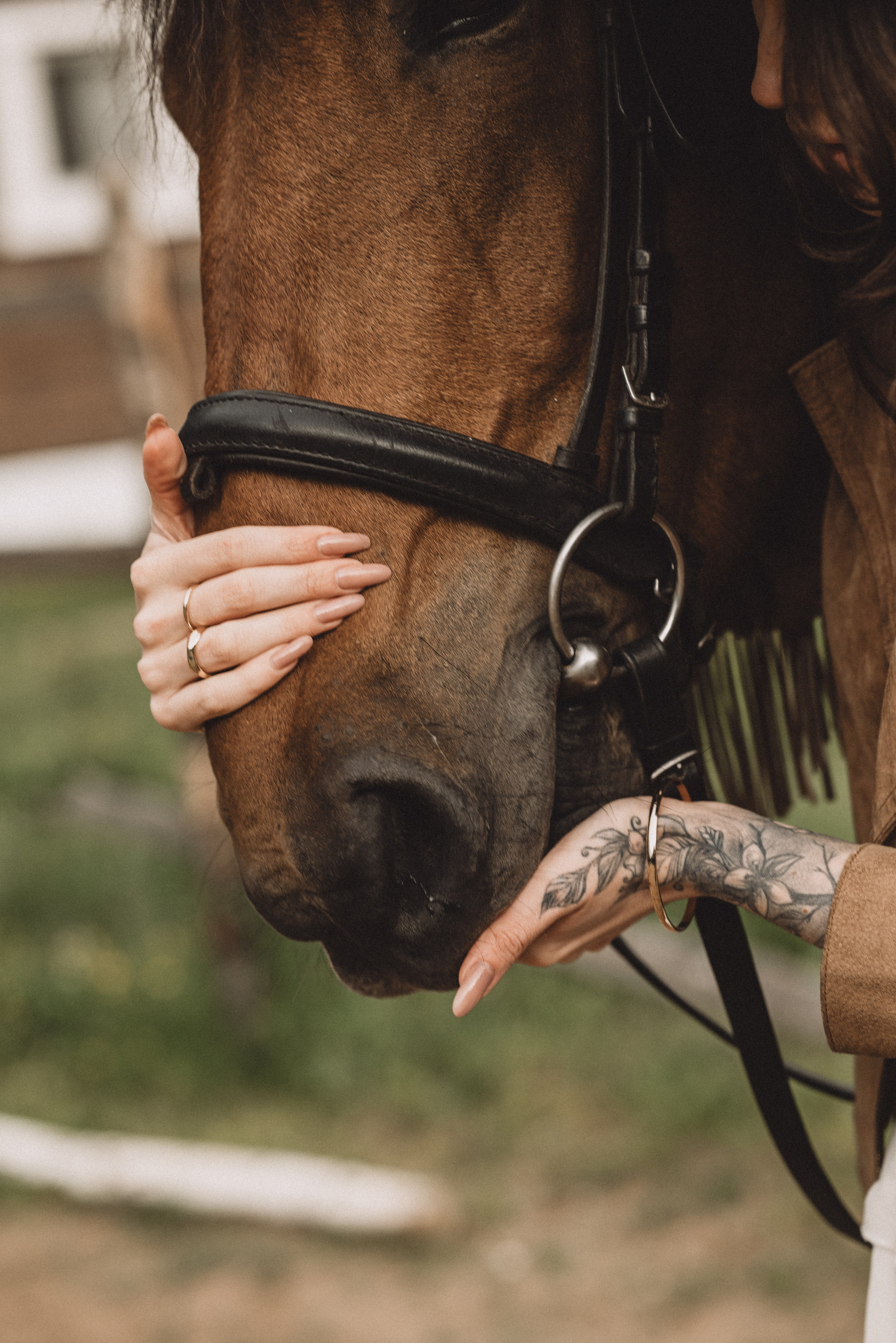Wild wild west…. Фотограф