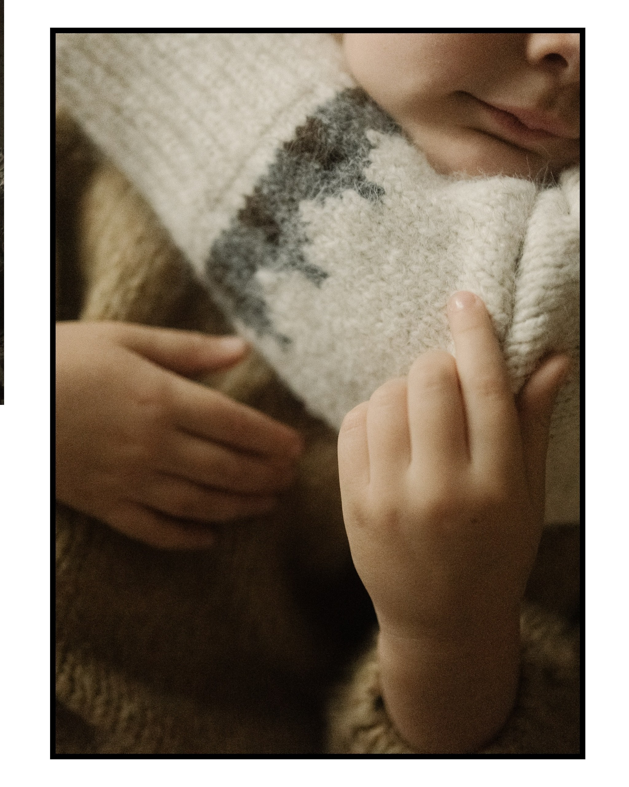 Семейные фотосесии 2025