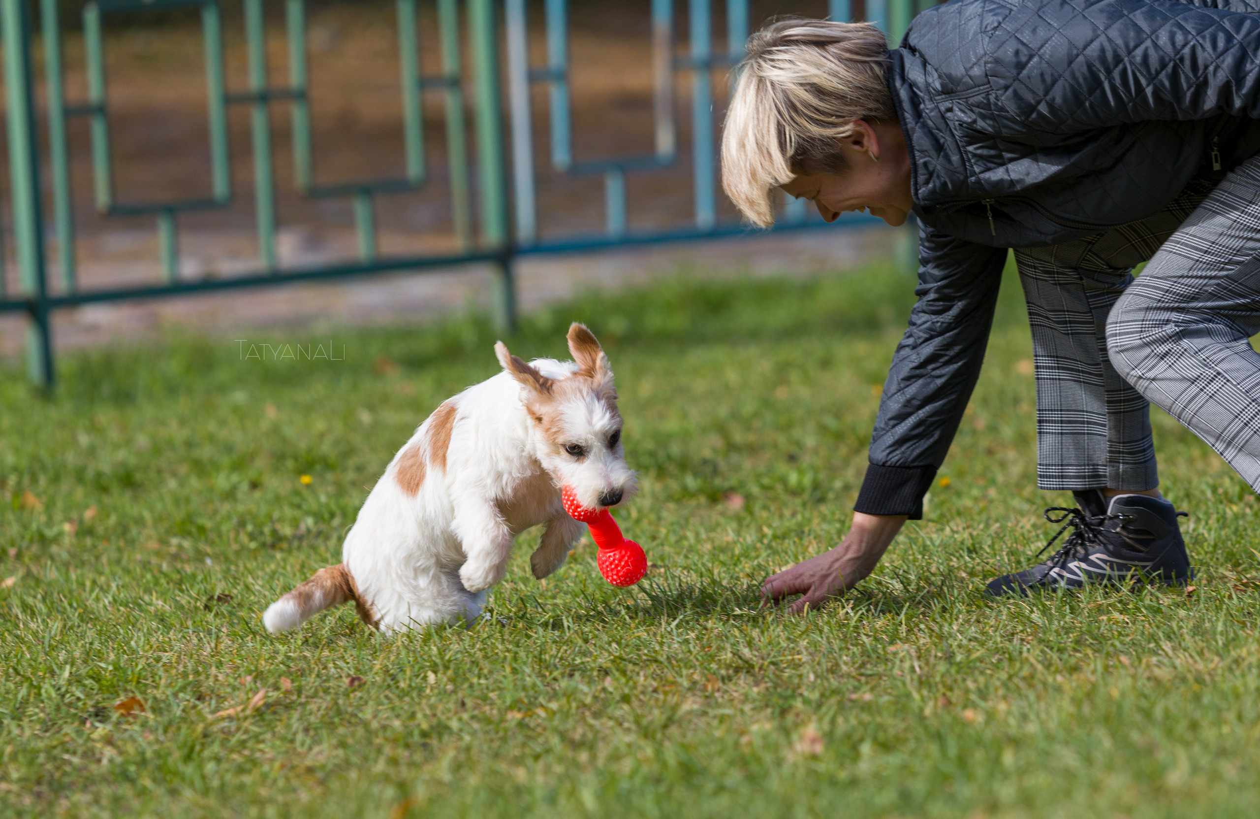 Ассорти. Фотограф — анималист Татьяна Ли