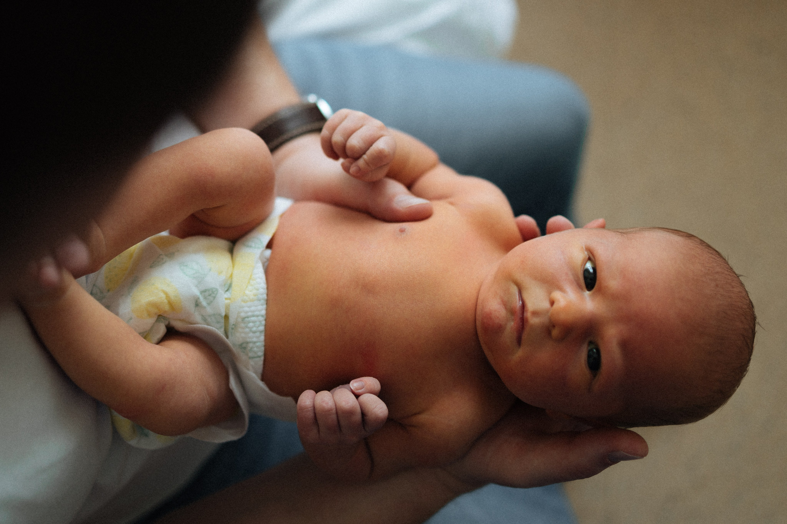 Домашние. Главная