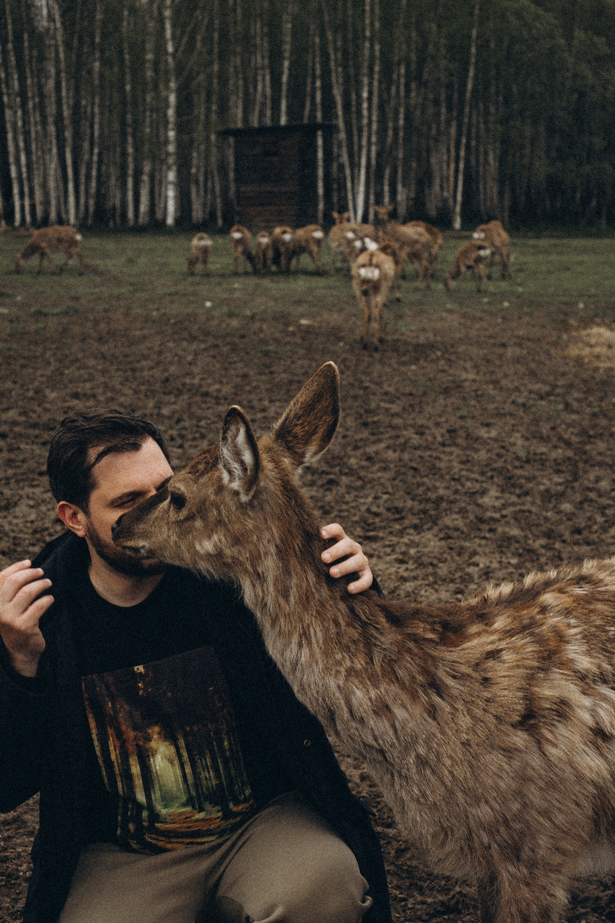 ОЛЕНЬЯ ФЕРМА В ТВЕРИ. Профессиональный фотограф, Санкт-Петербург — Виктория Богомолова