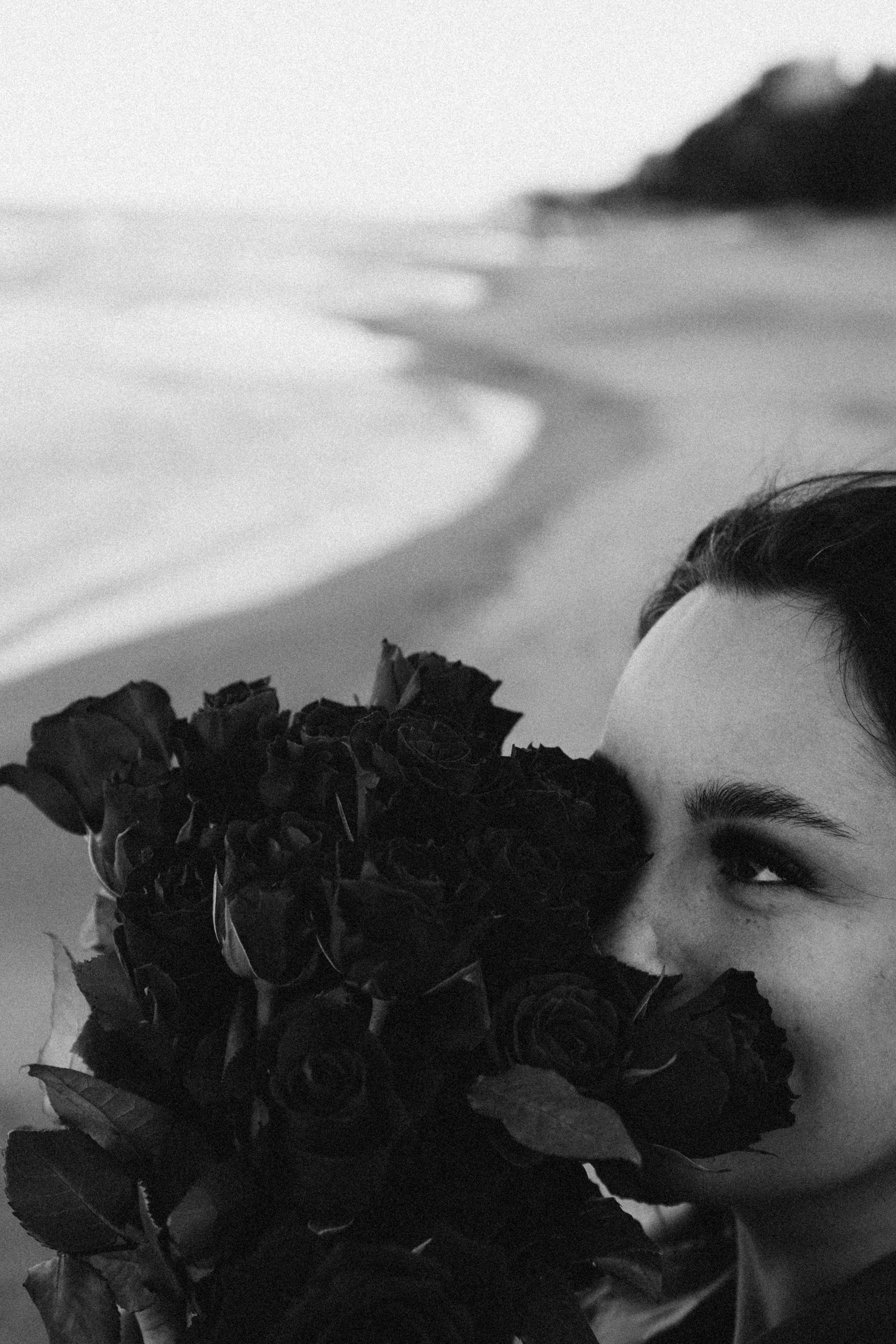 Розы. Профессиональный фотограф, Санкт-Петербург — Виктория Богомолова