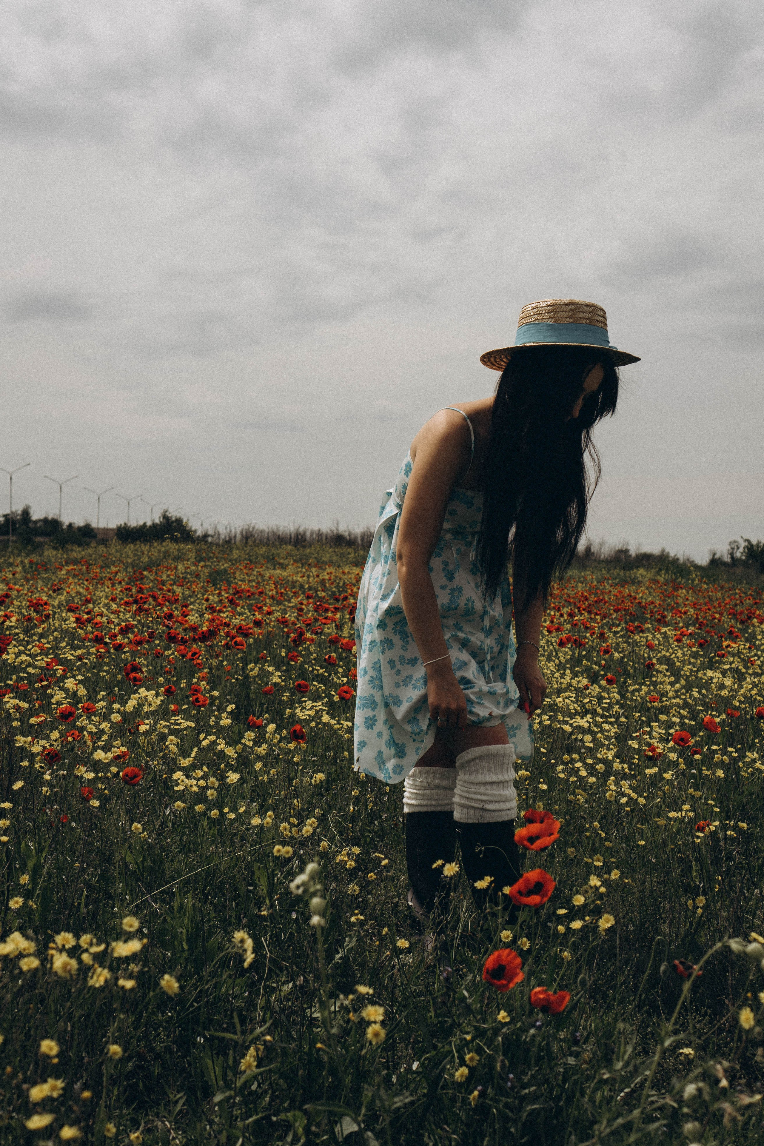 Цветочная поляна. Профессиональный фотограф, Санкт-Петербург — Виктория Богомолова