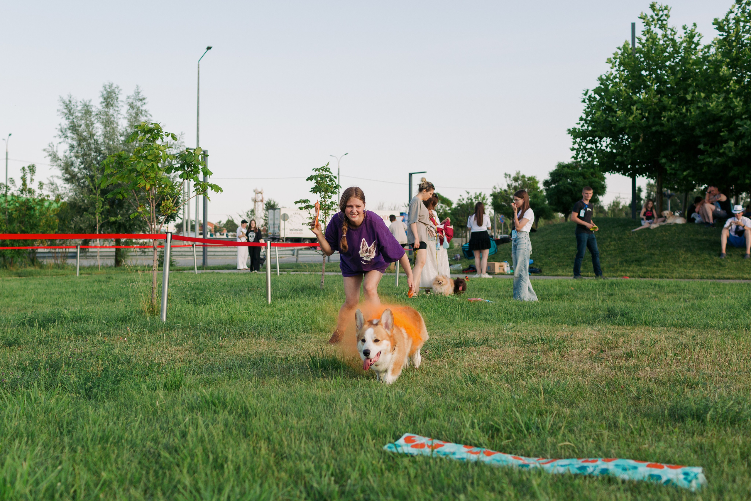 Dog Fest 2024. Главная
