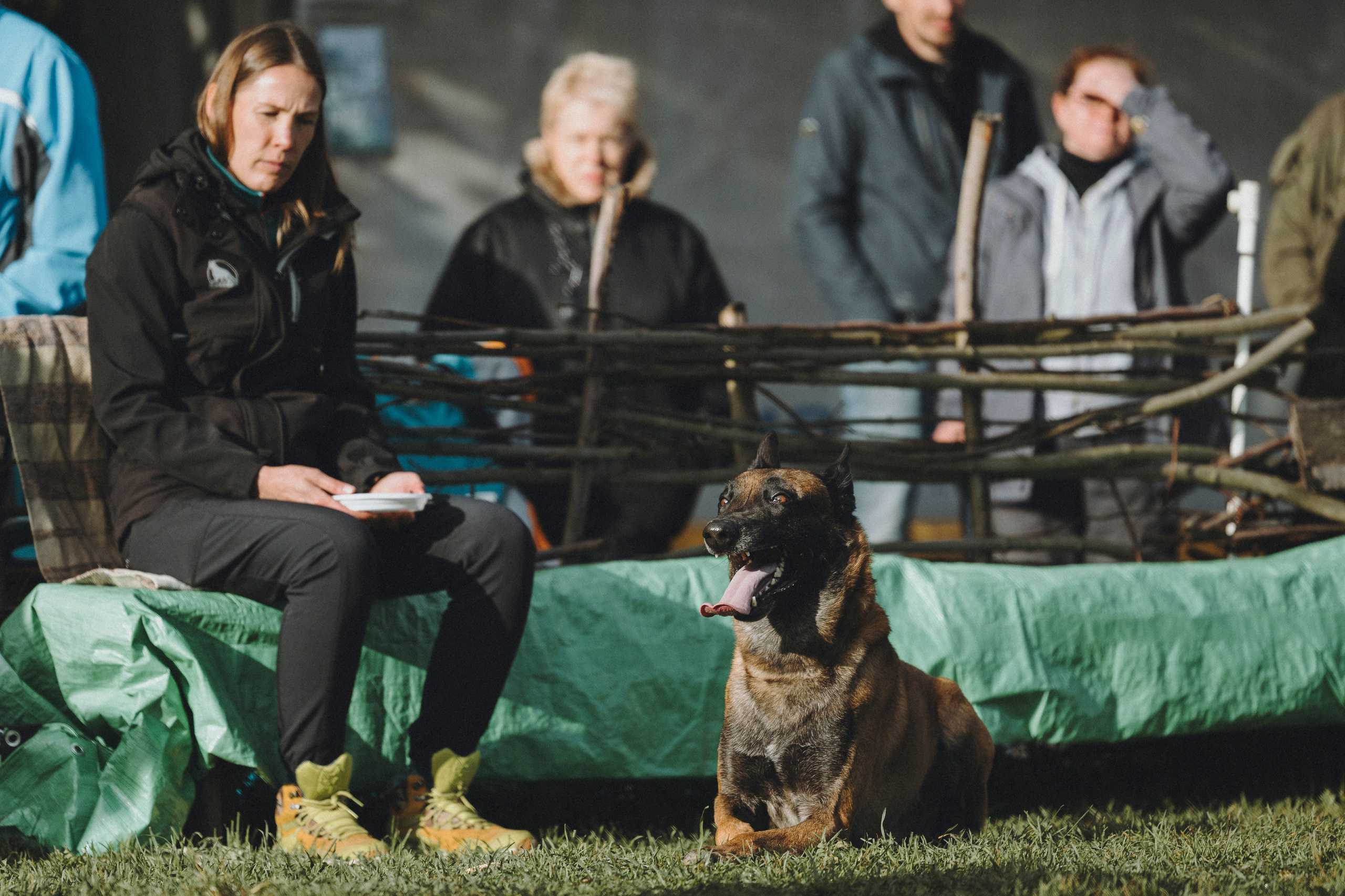Испытания по мондьорингу г. Пушкин 29.09.2024. Фотограф-анималист Анна Маринич