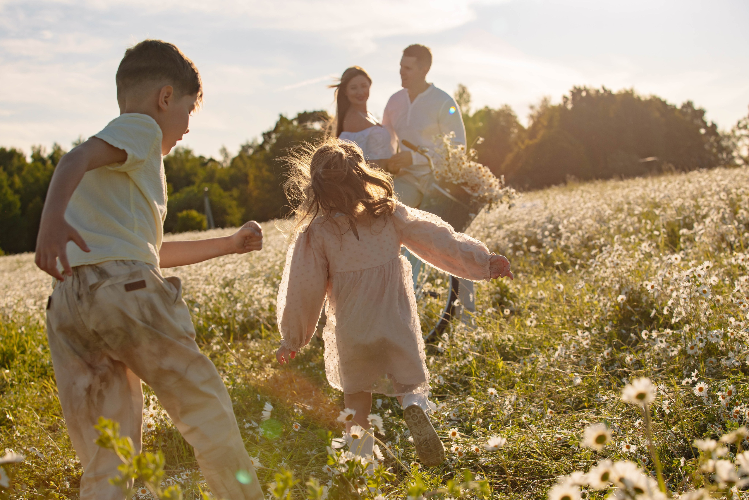 Ромашковое поле. Фотограф в Москве Яна Полосина