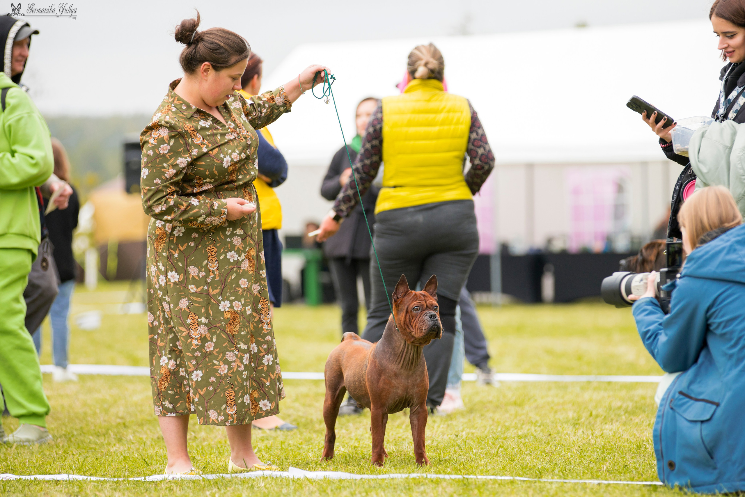 Переславль 9-10.09.2023. Фотограф-анималист Юлия Германика