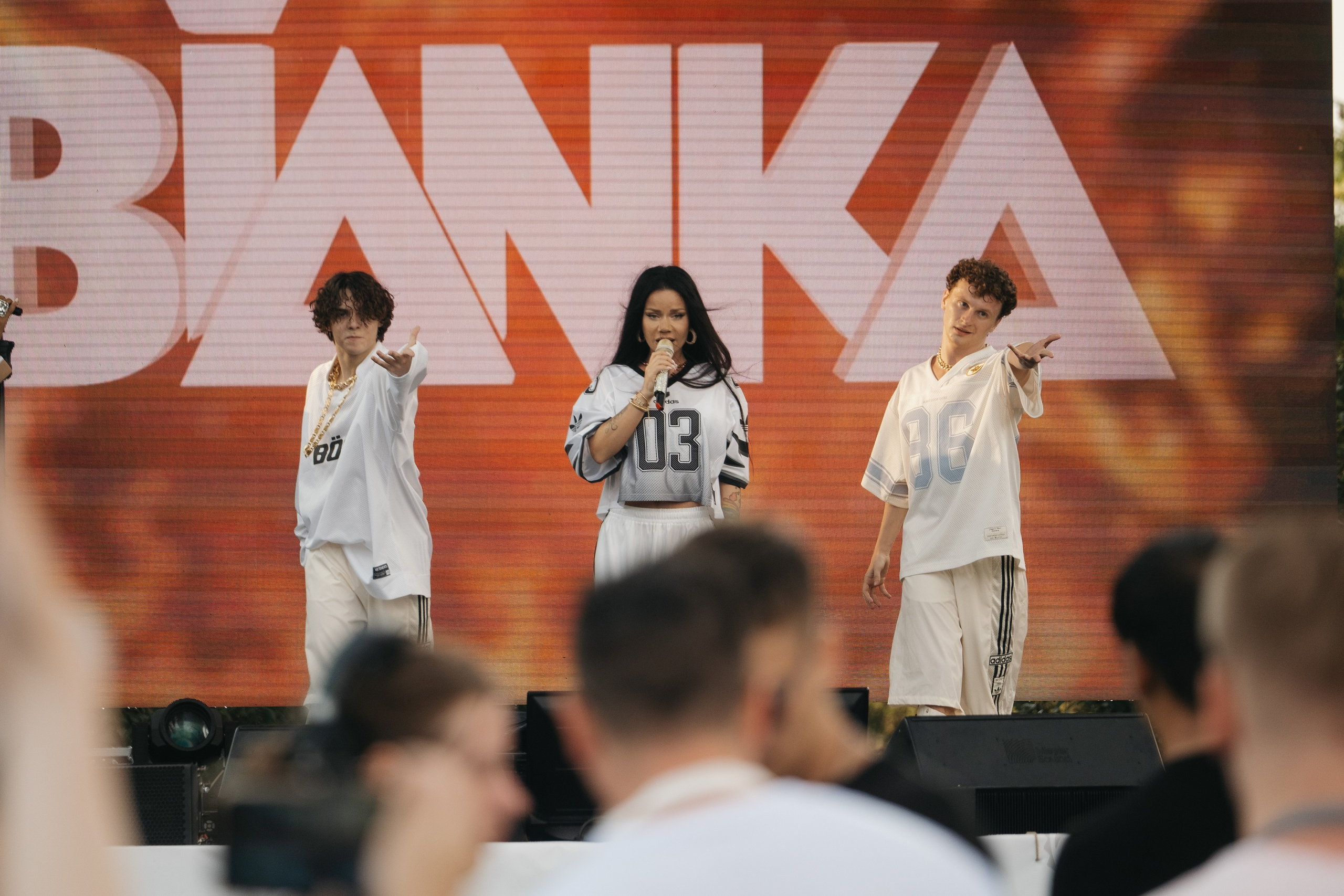 VECTOR FEST. Обо мне