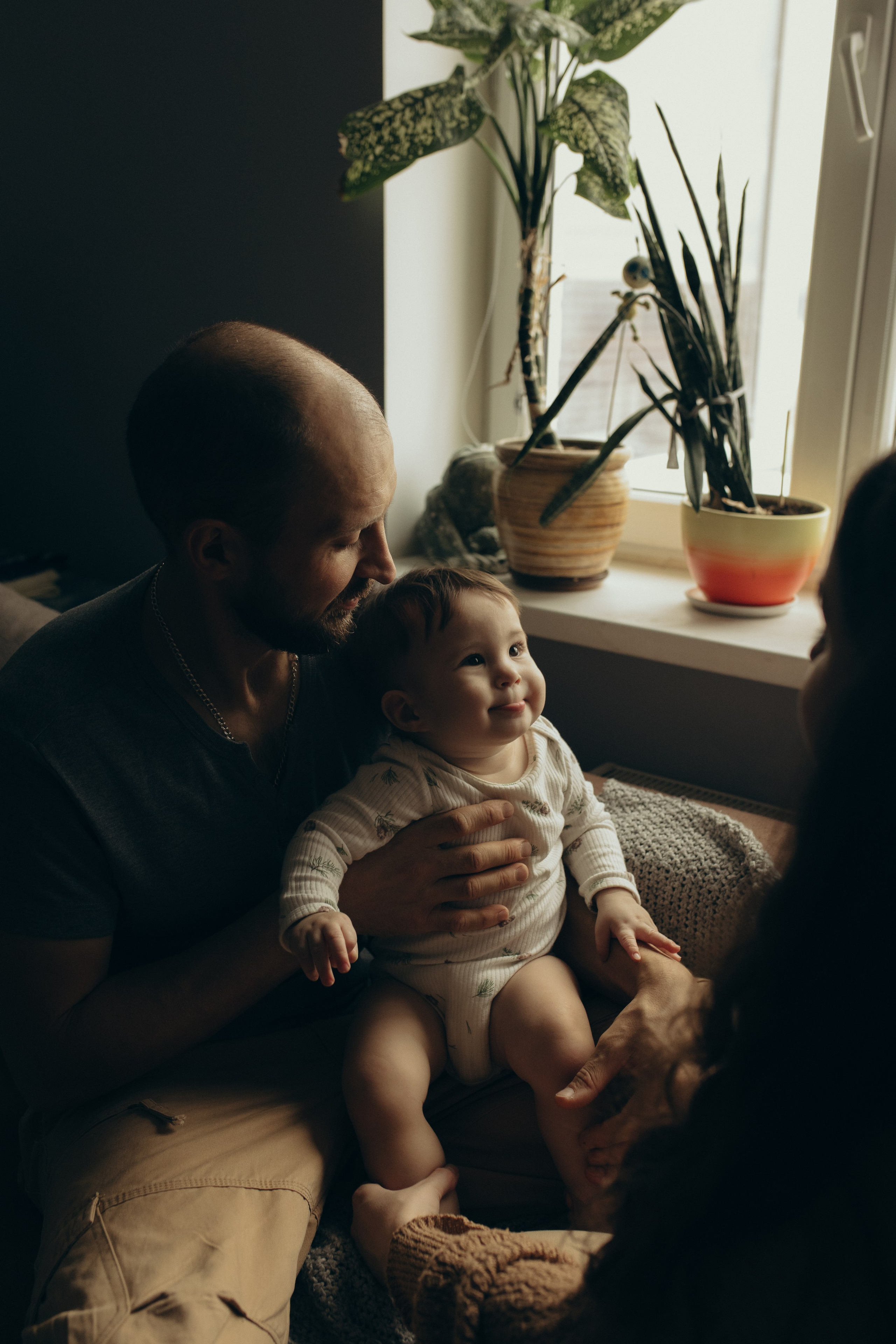 Домашняя история. Meryfotoidea