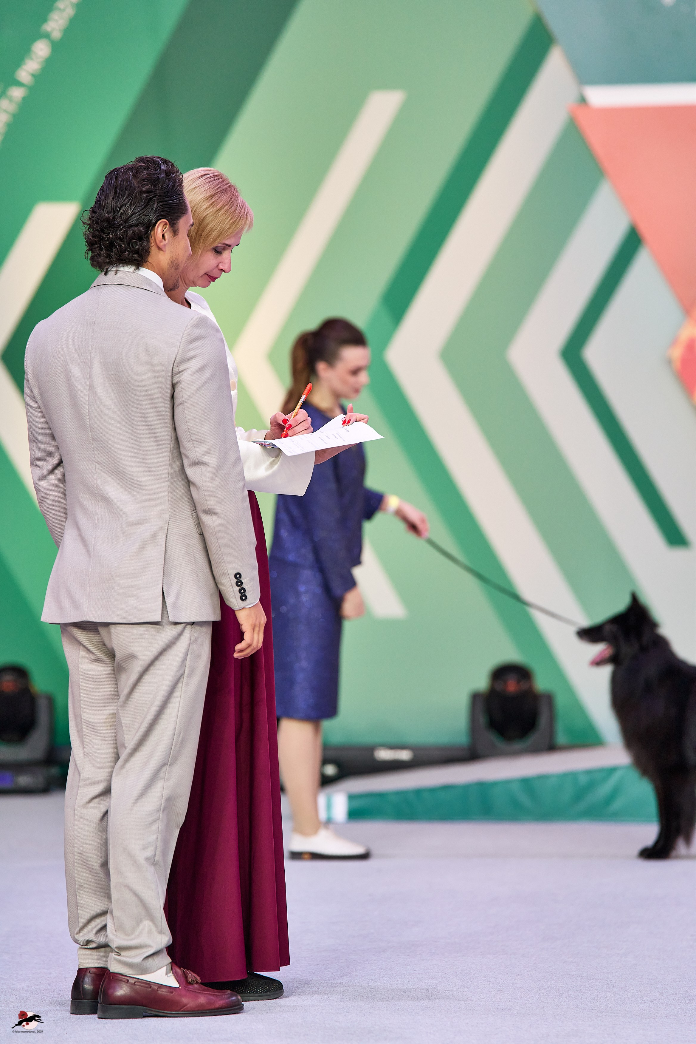 17.11.2024 «ЕВРАЗИЯ. КУБОК СНГ 2024»