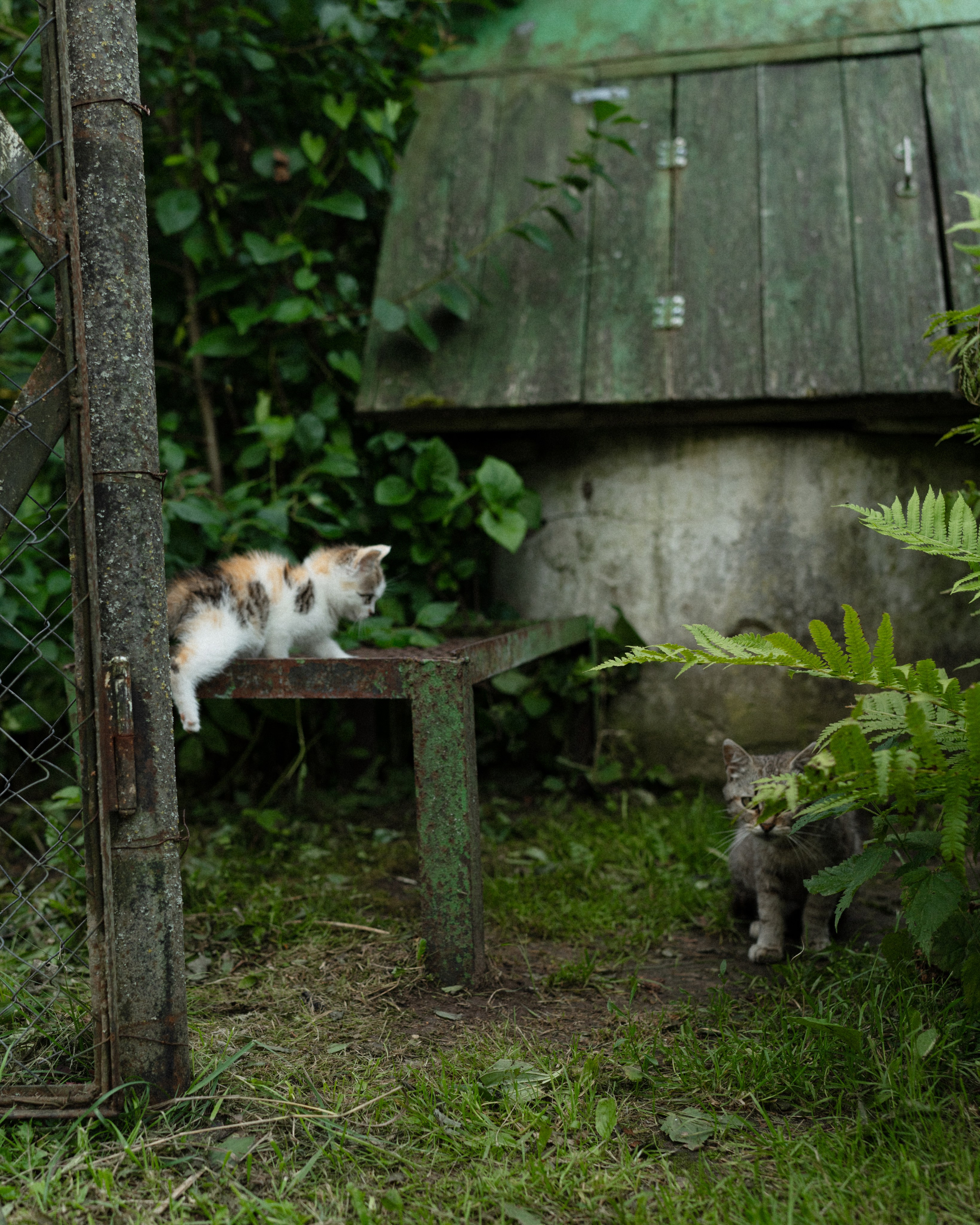 Беларусь. Твой фотограф в Москве и Московской области Романцова Ирина