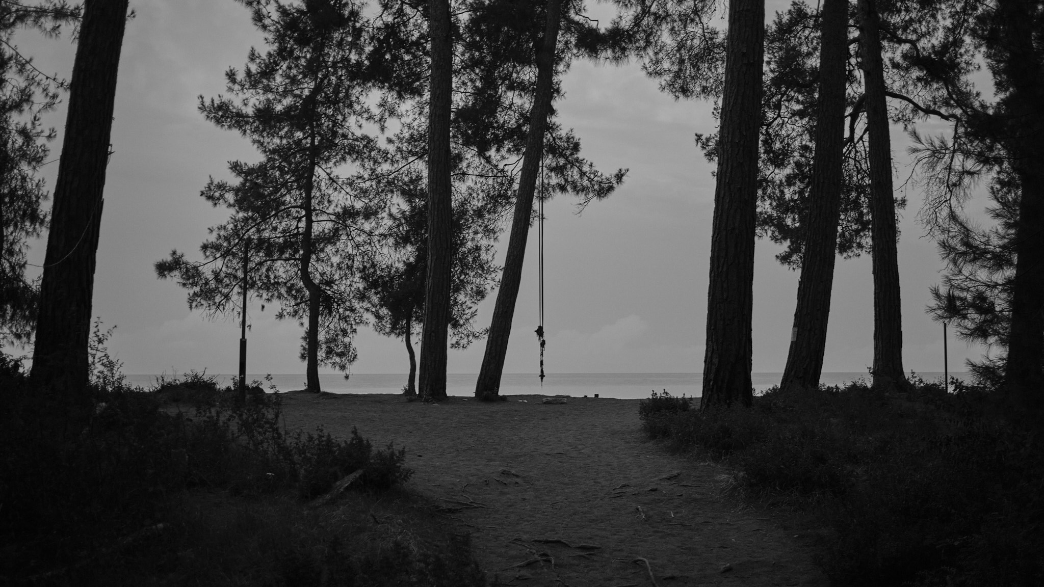 Фотограф Владимир Кононенко