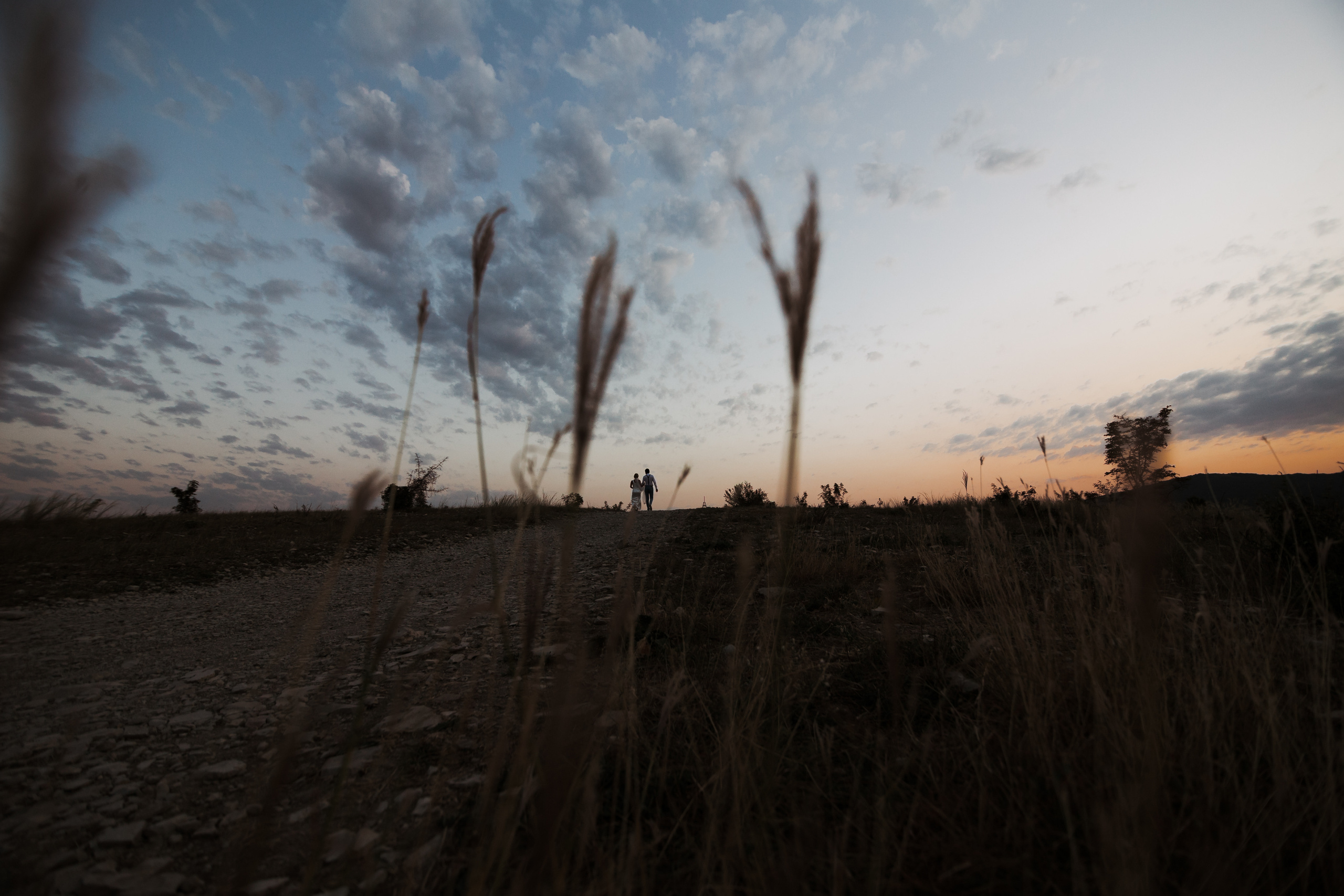 Вова и Лена / идеальный день. свадьба для двоих