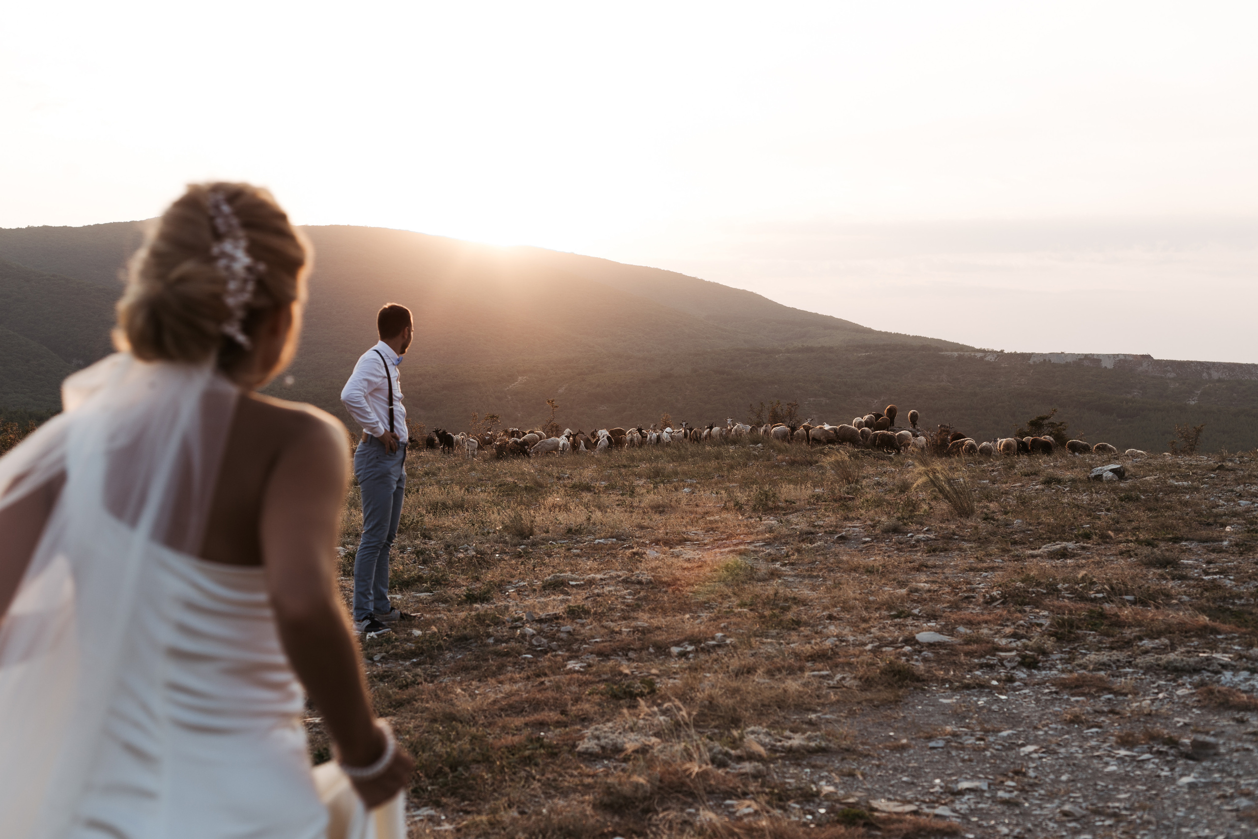 Вова и Лена / идеальный день. свадьба для двоих