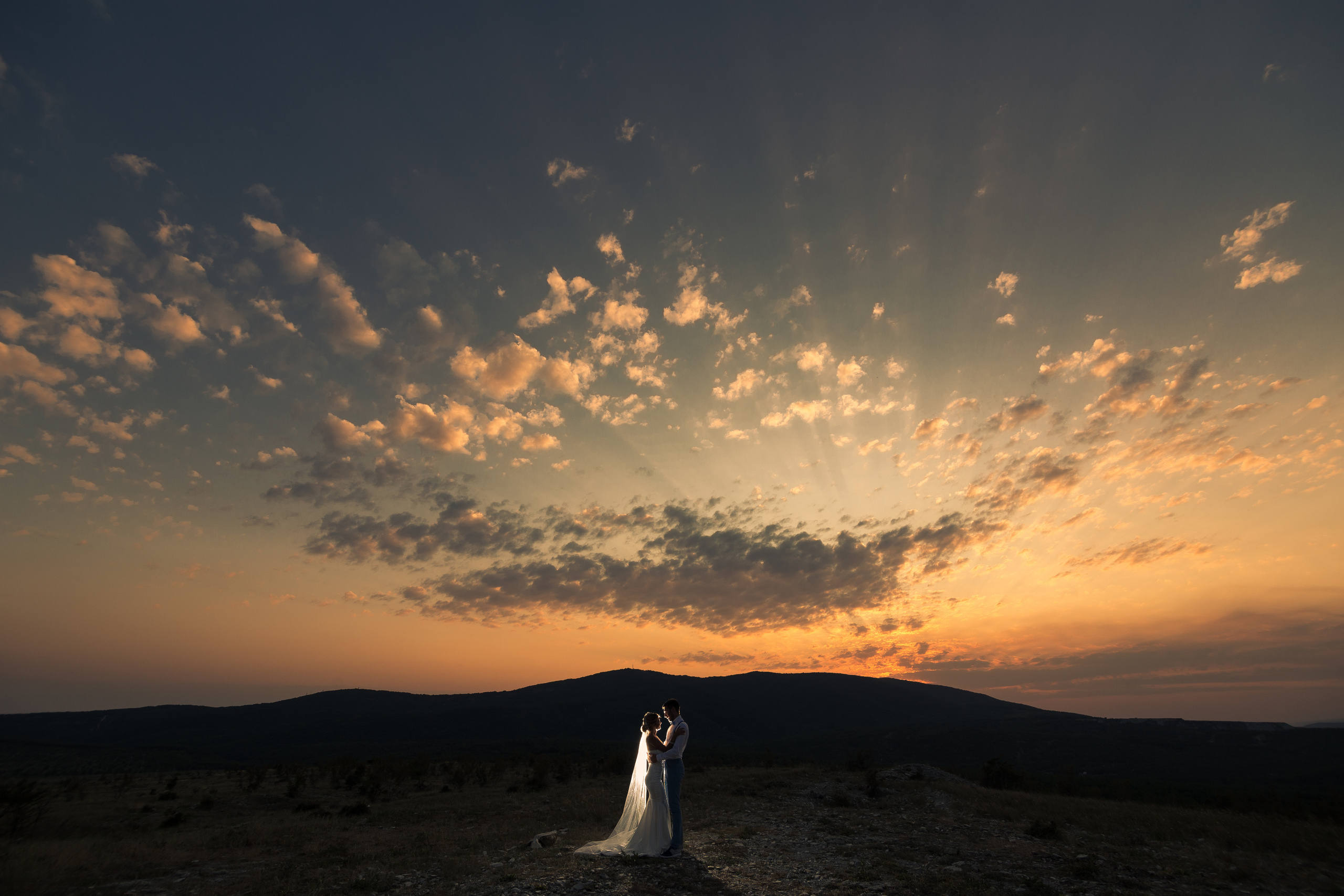 Вова и Лена / идеальный день. свадьба для двоих