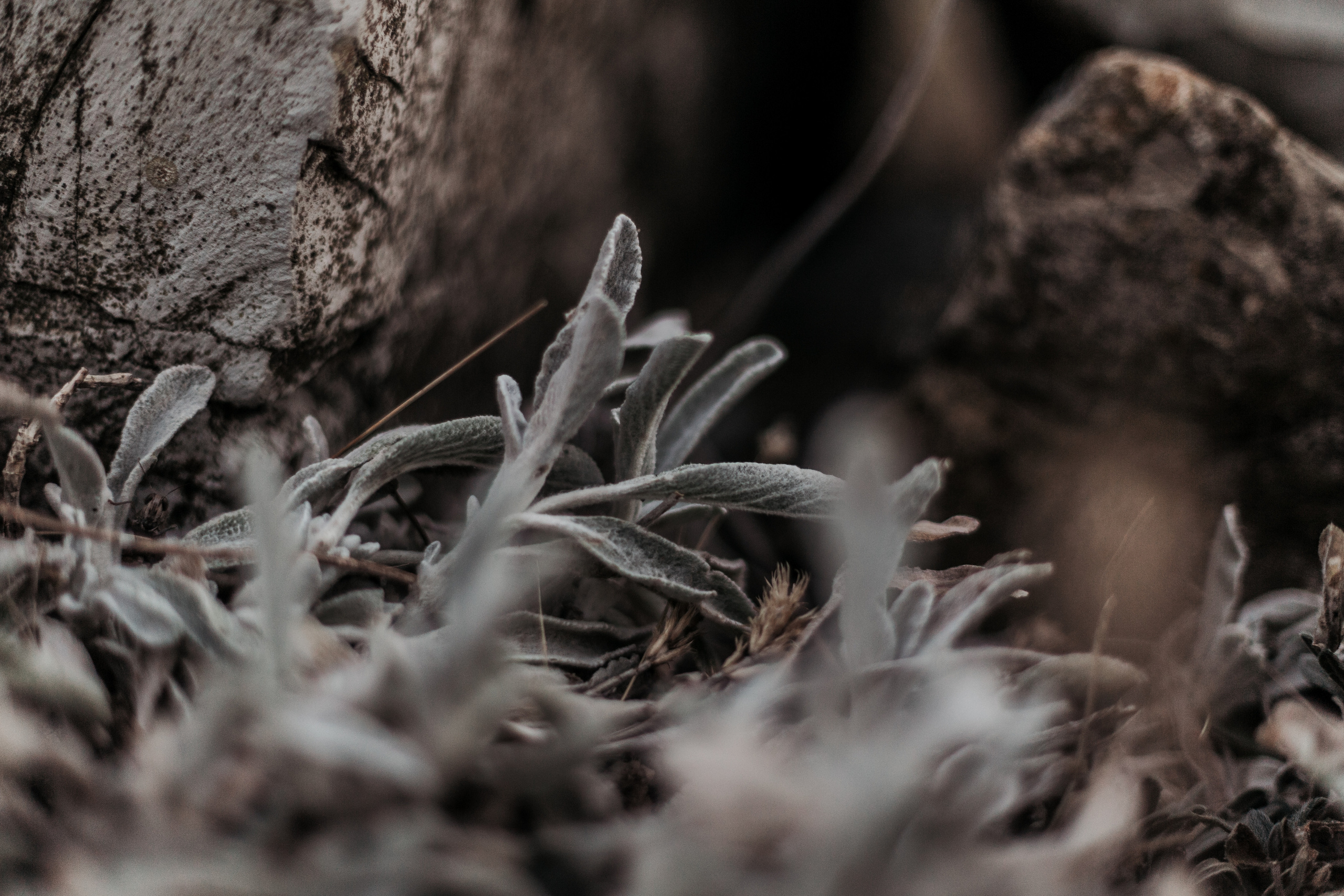 Вова и Лена / идеальный день. свадьба для двоих