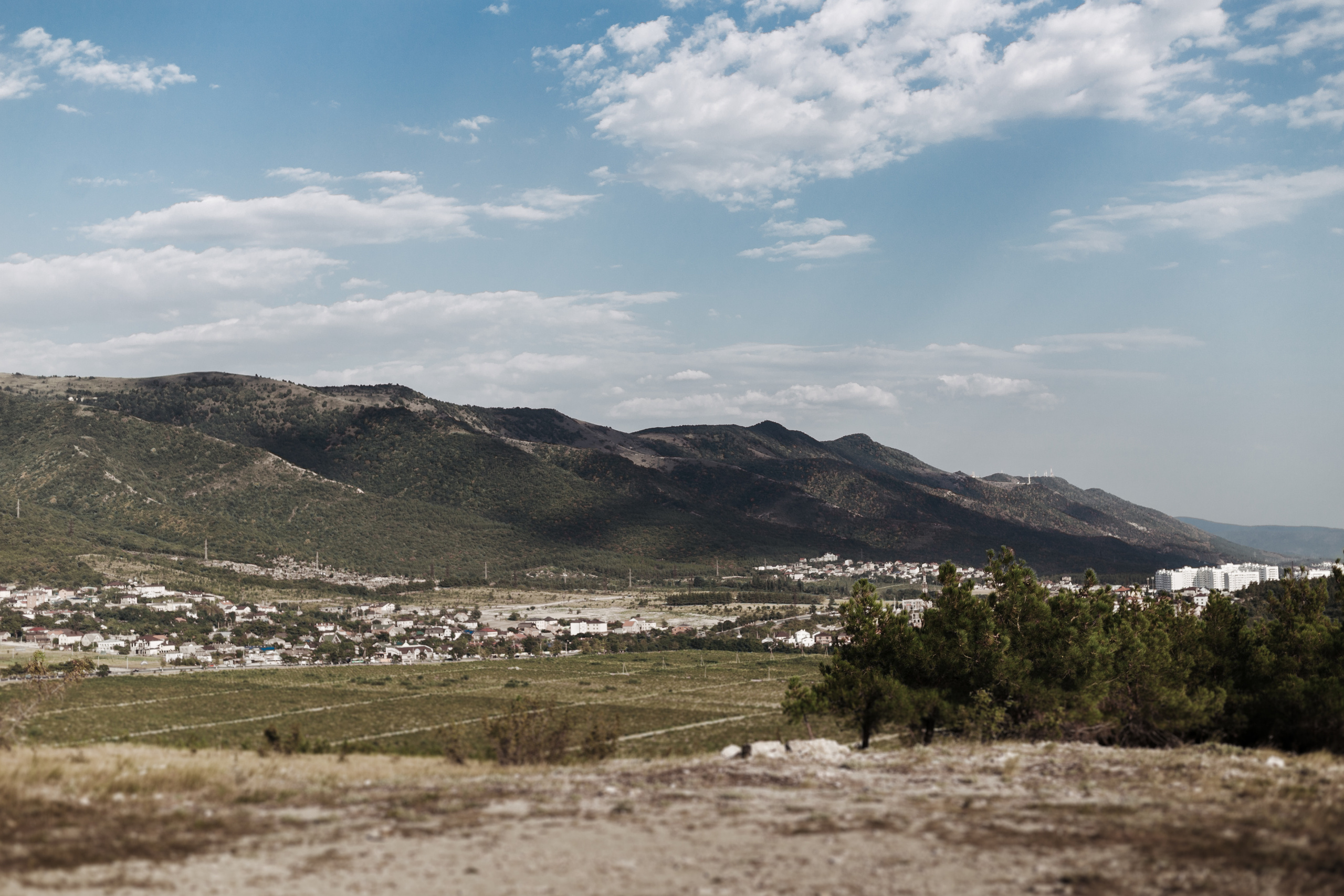 Вова и Лена / идеальный день. свадьба для двоих