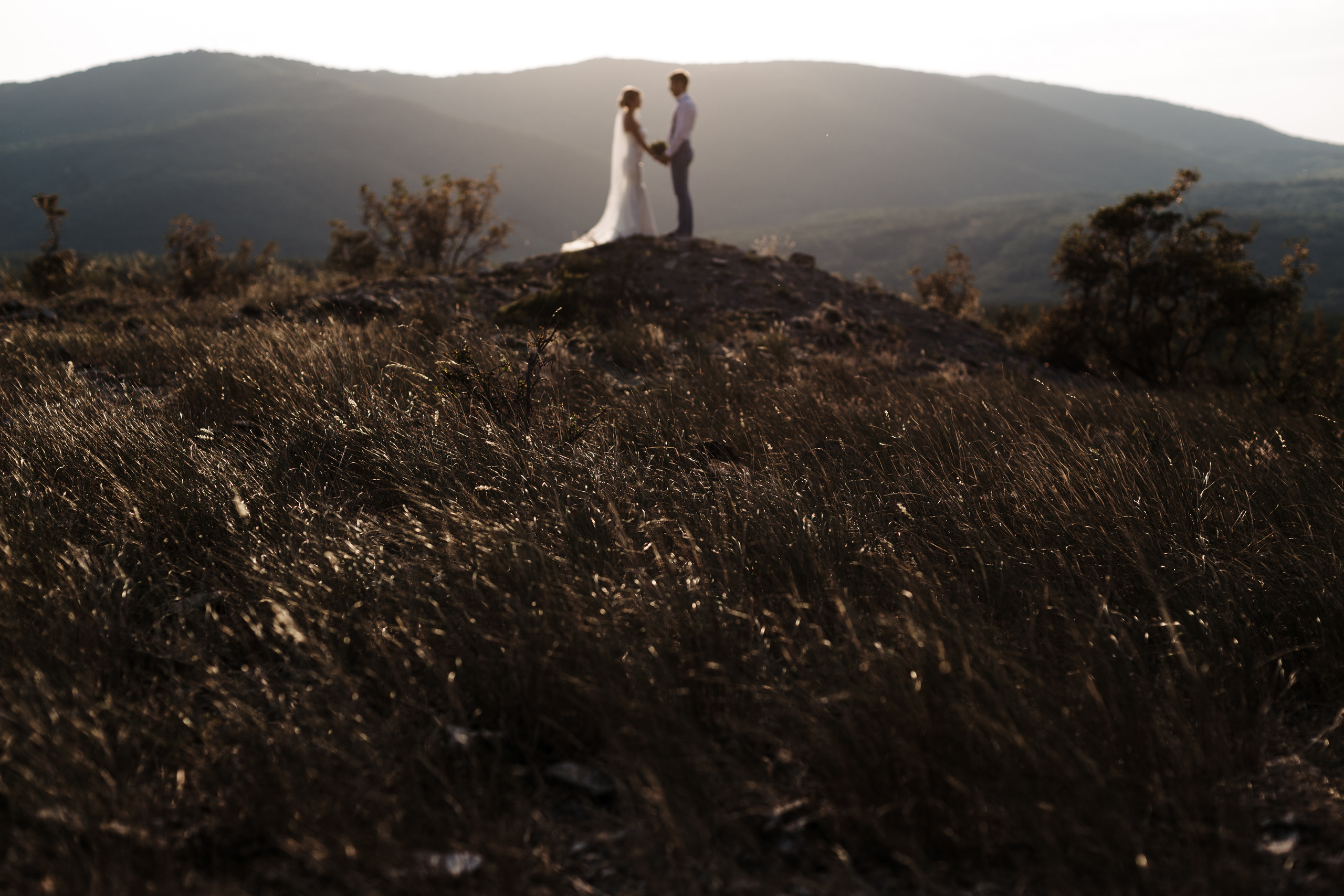 Вова и Лена / идеальный день. свадьба для двоих