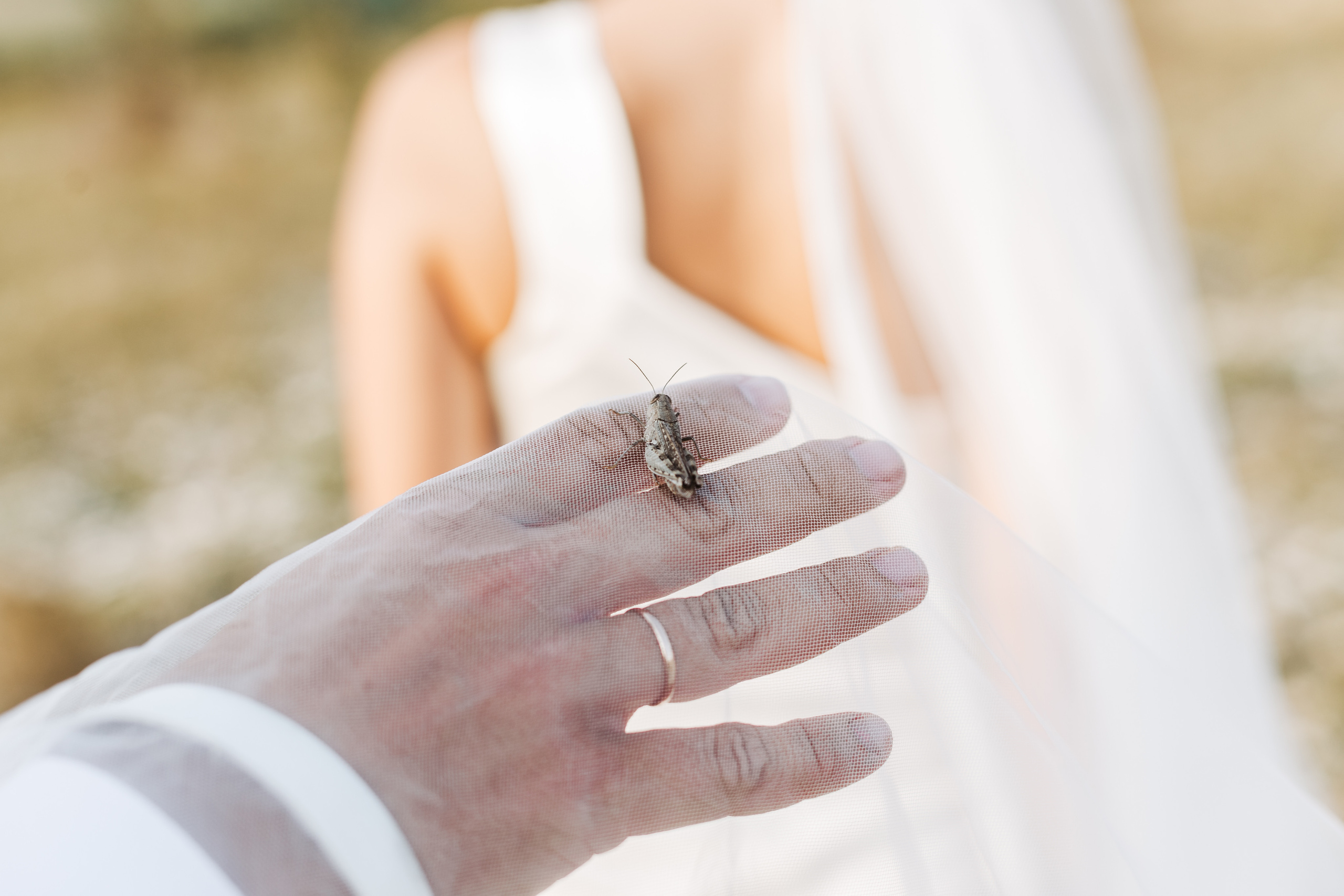 Вова и Лена / идеальный день. свадьба для двоих