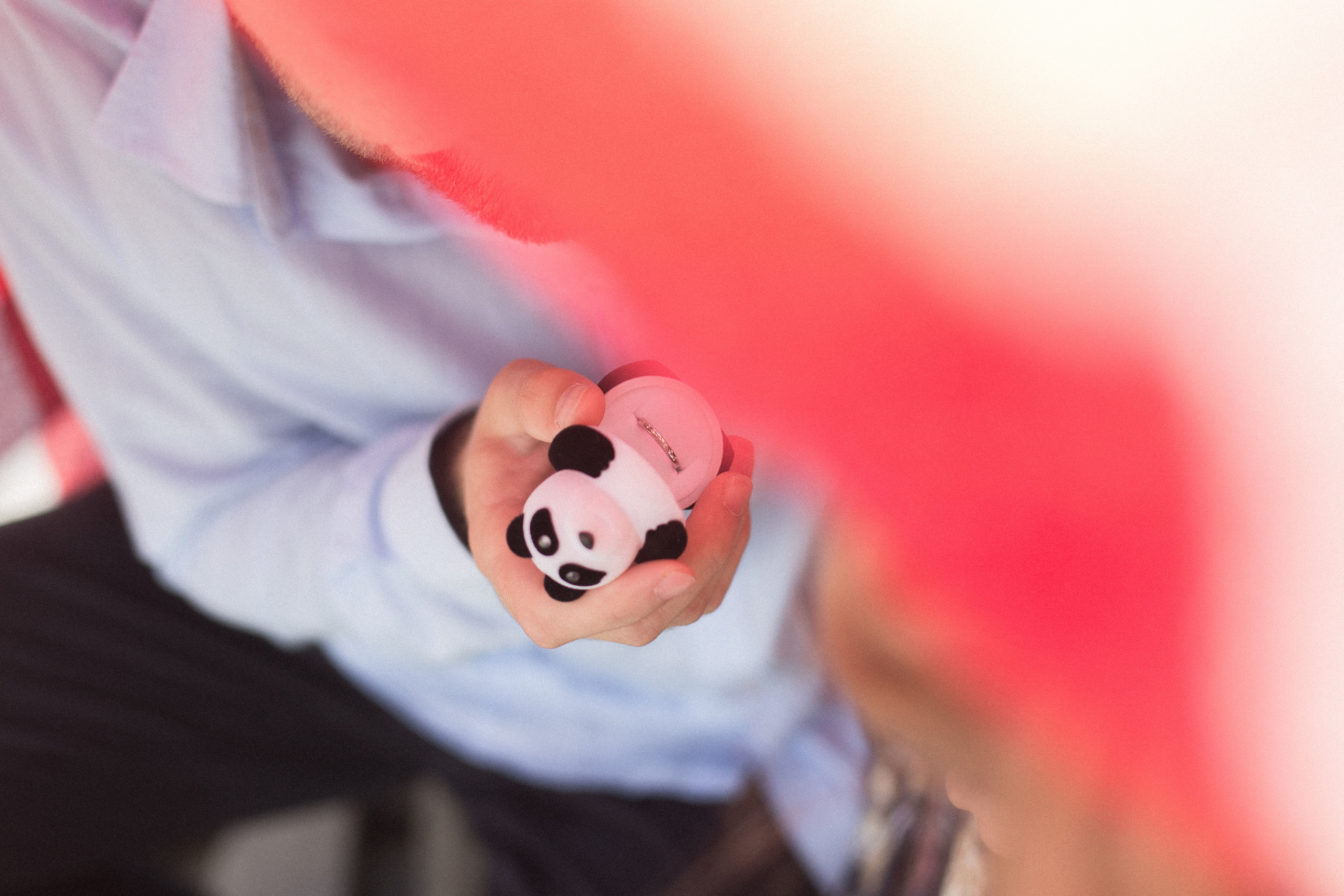 Даша и Денис / помолвка