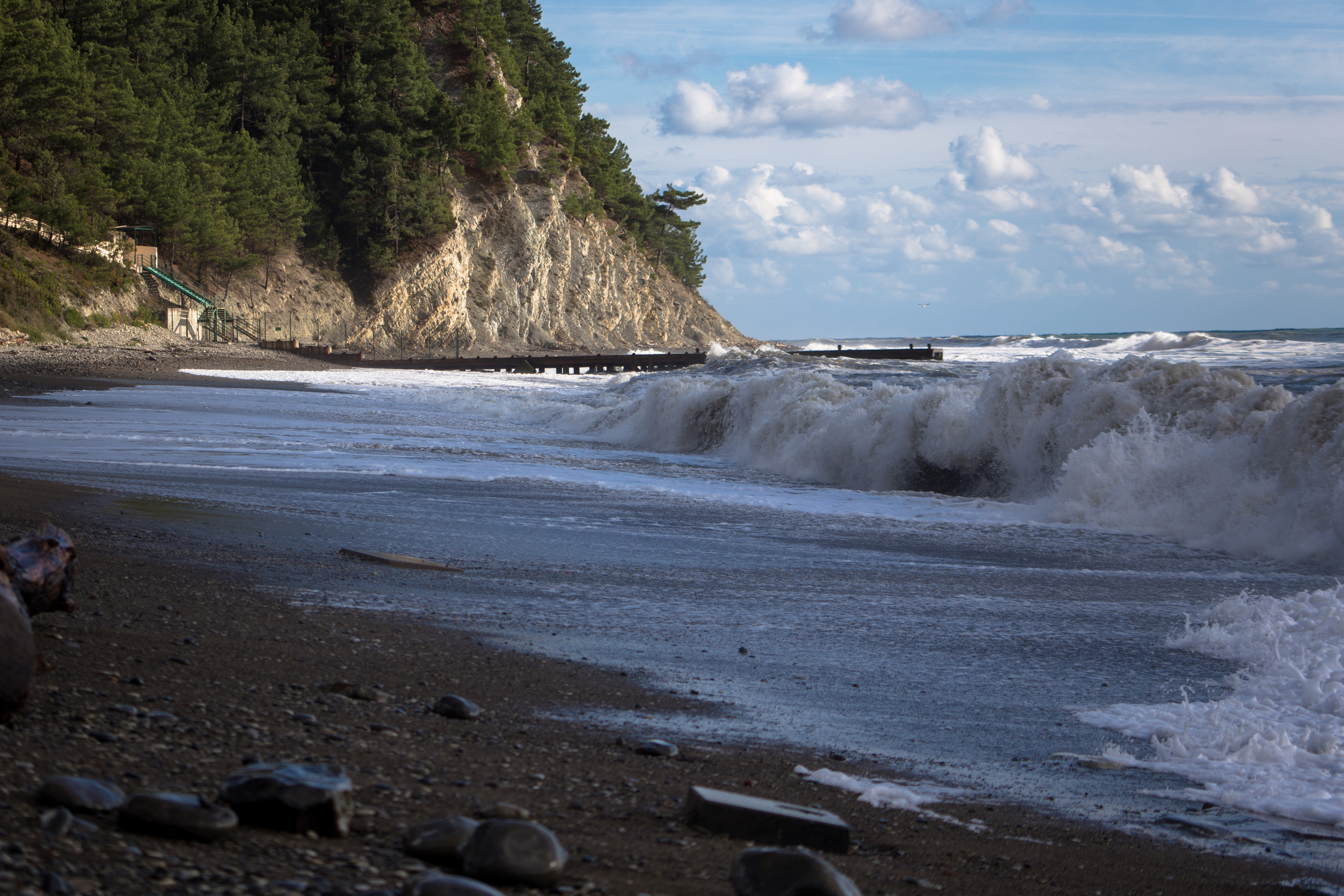 Даша и Денис / помолвка