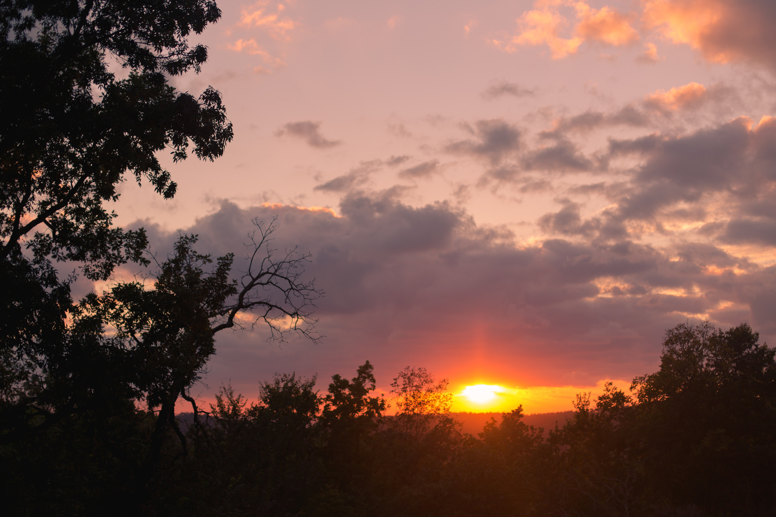 Даша и Денис / помолвка