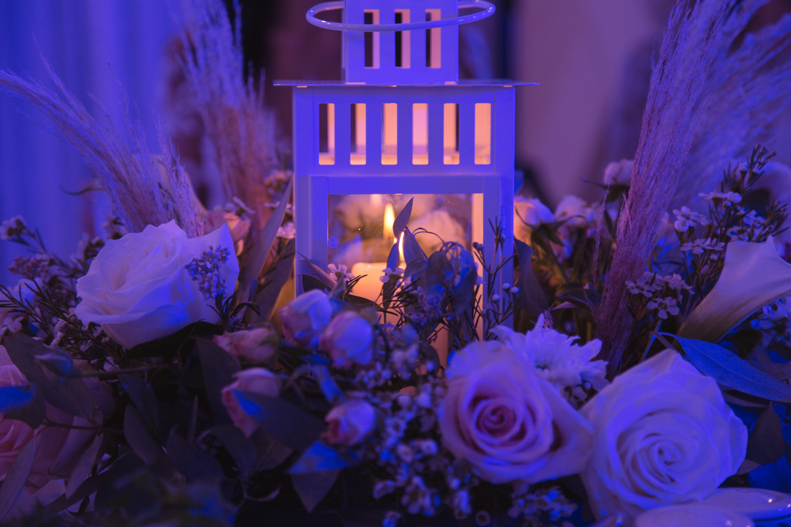 Дарья и Сергей / вечеринка style