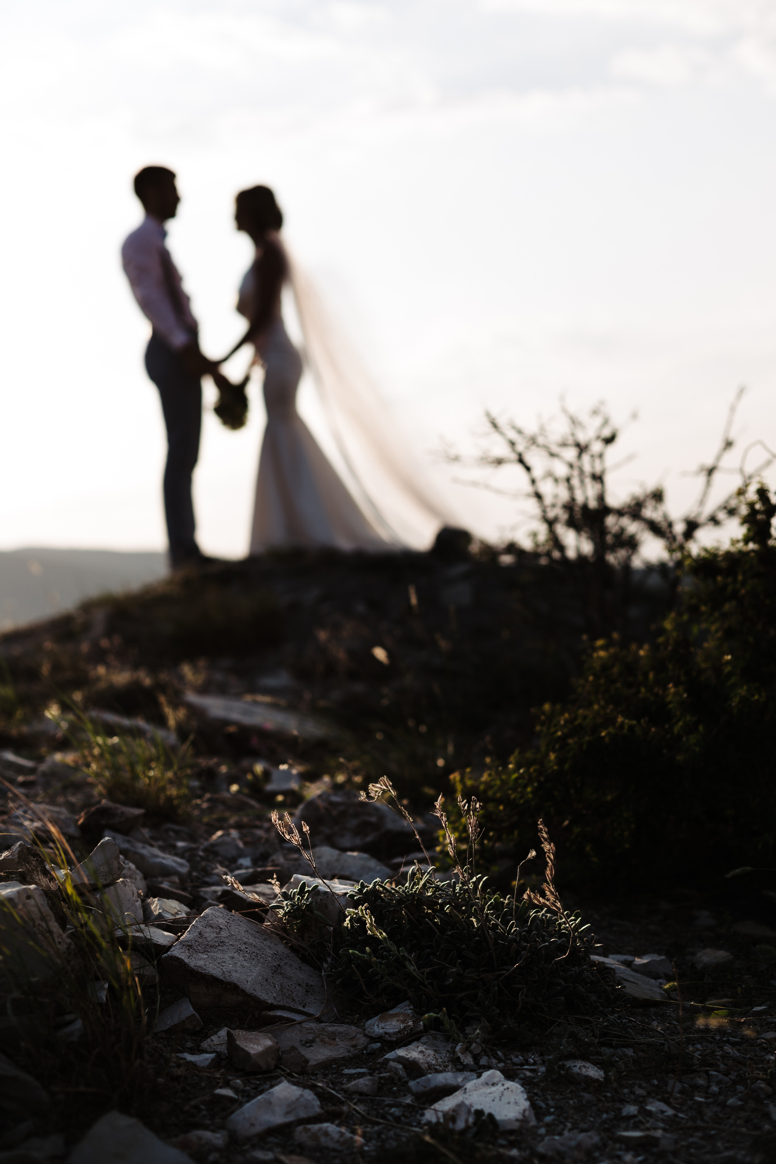 Вова и Лена / идеальный день. свадьба для двоих