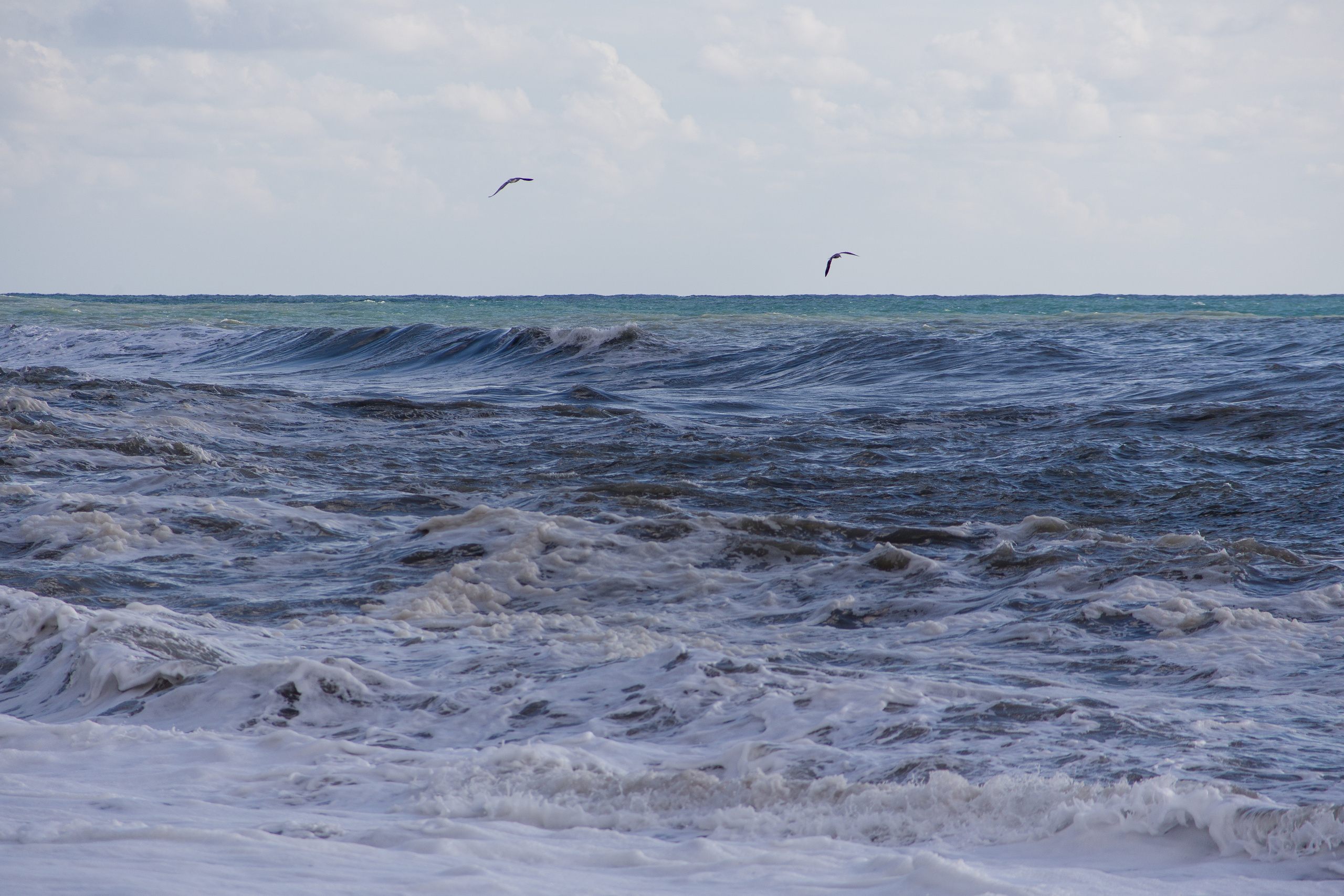 Даша и Денис / помолвка