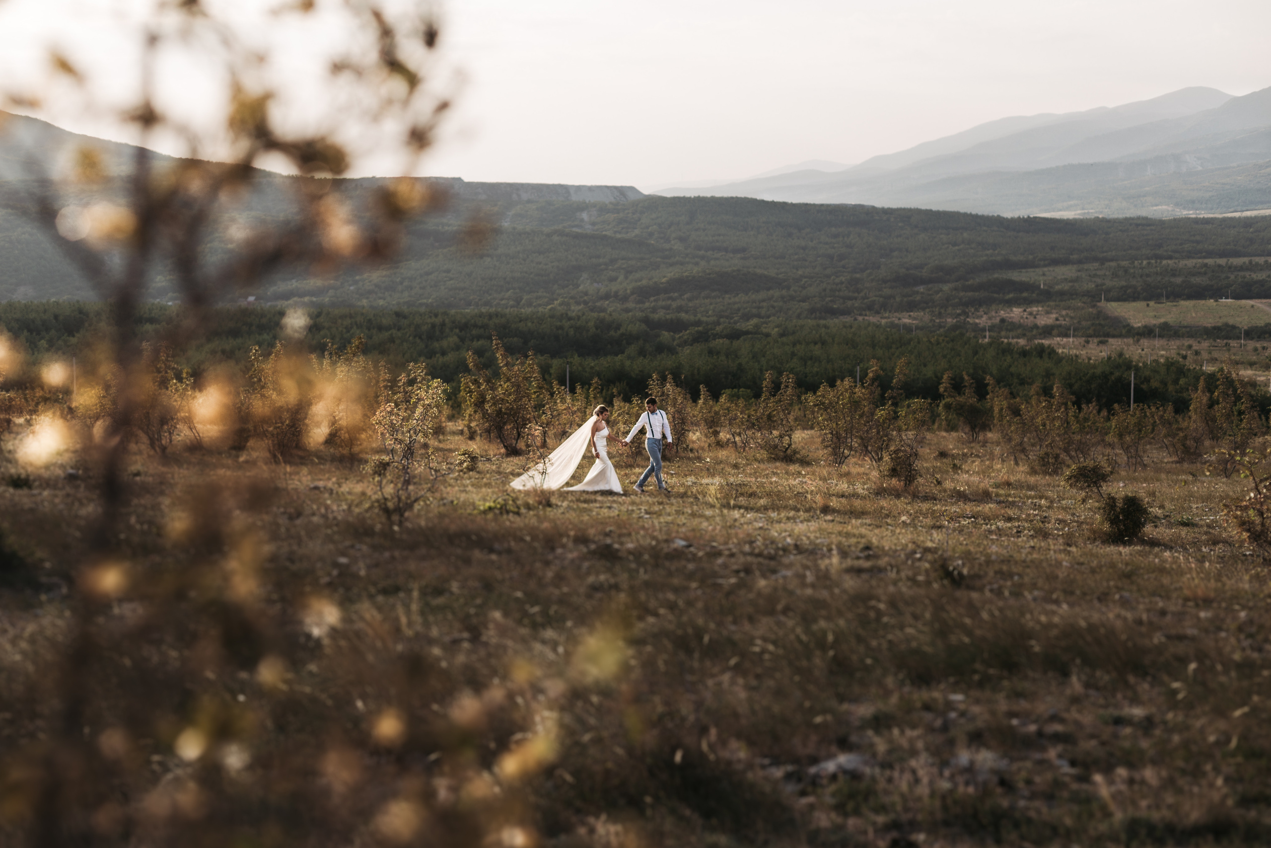 Вова и Лена / идеальный день. свадьба для двоих