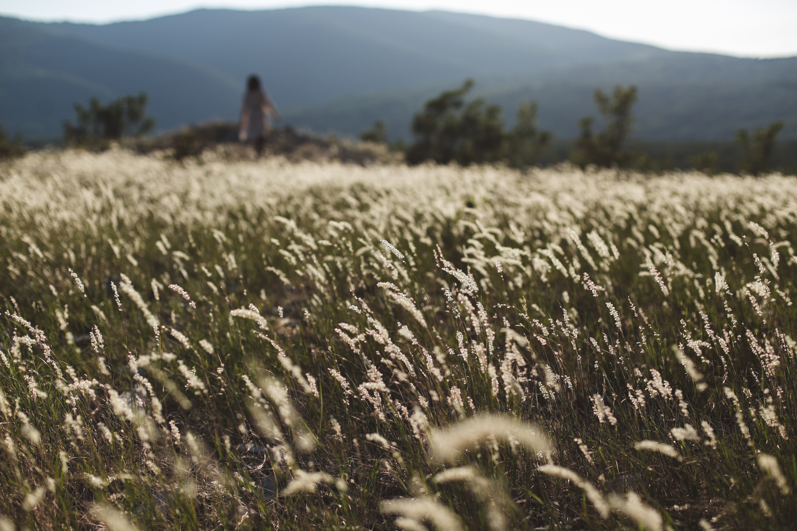 Ксюша / горы, море и страна чудес