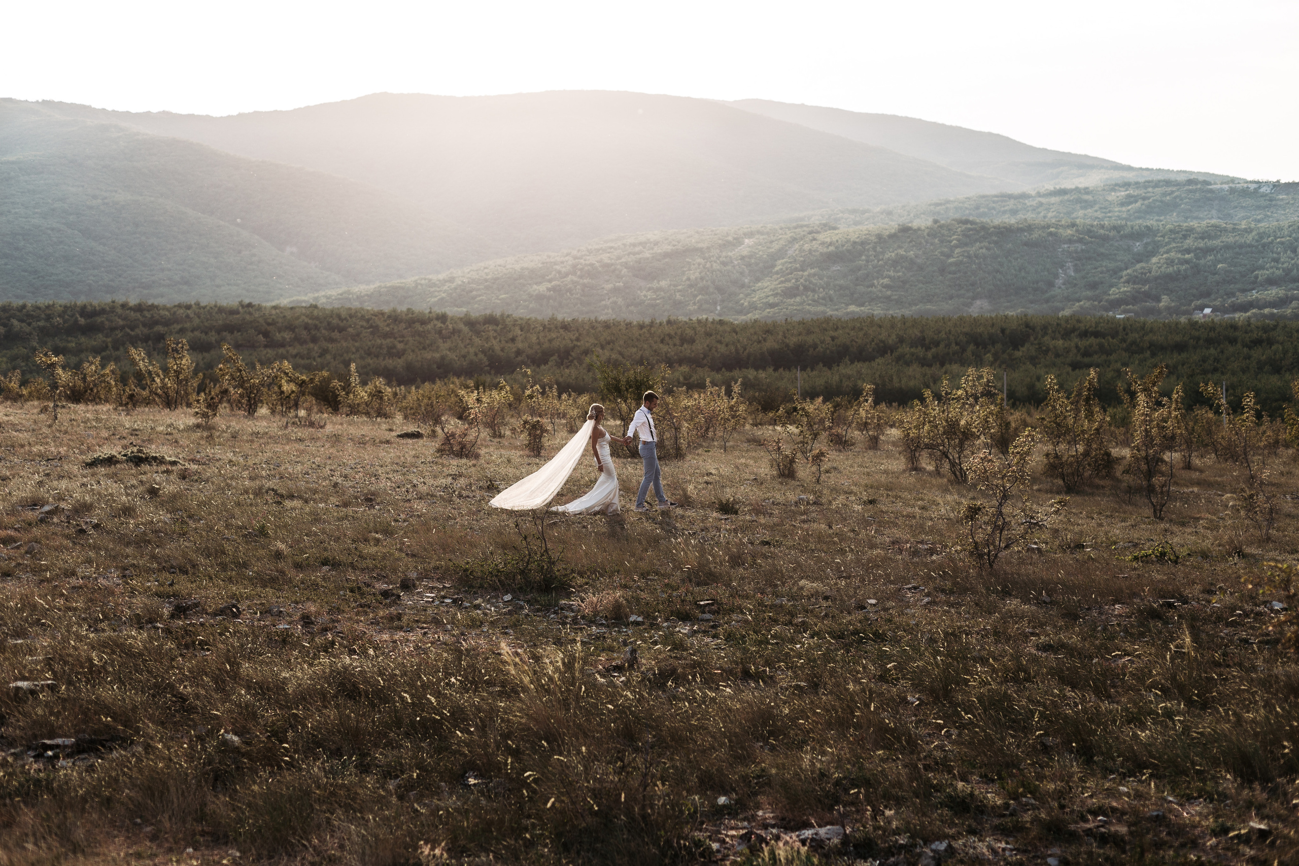 Вова и Лена / идеальный день. свадьба для двоих