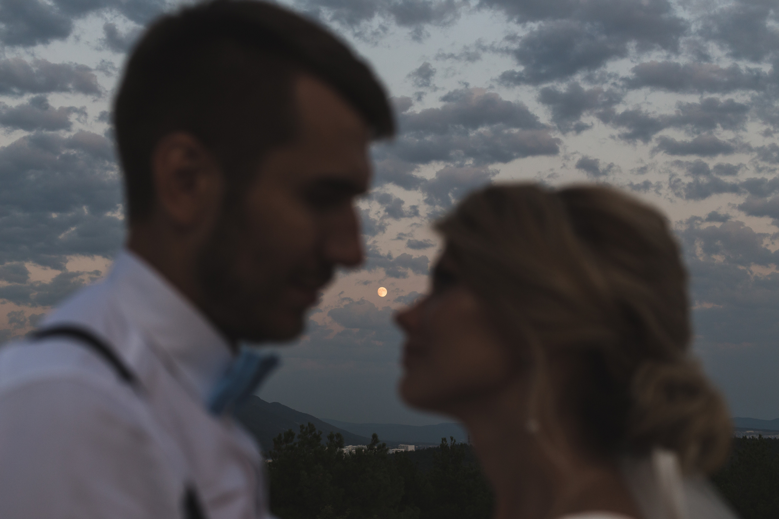 Вова и Лена / идеальный день. свадьба для двоих