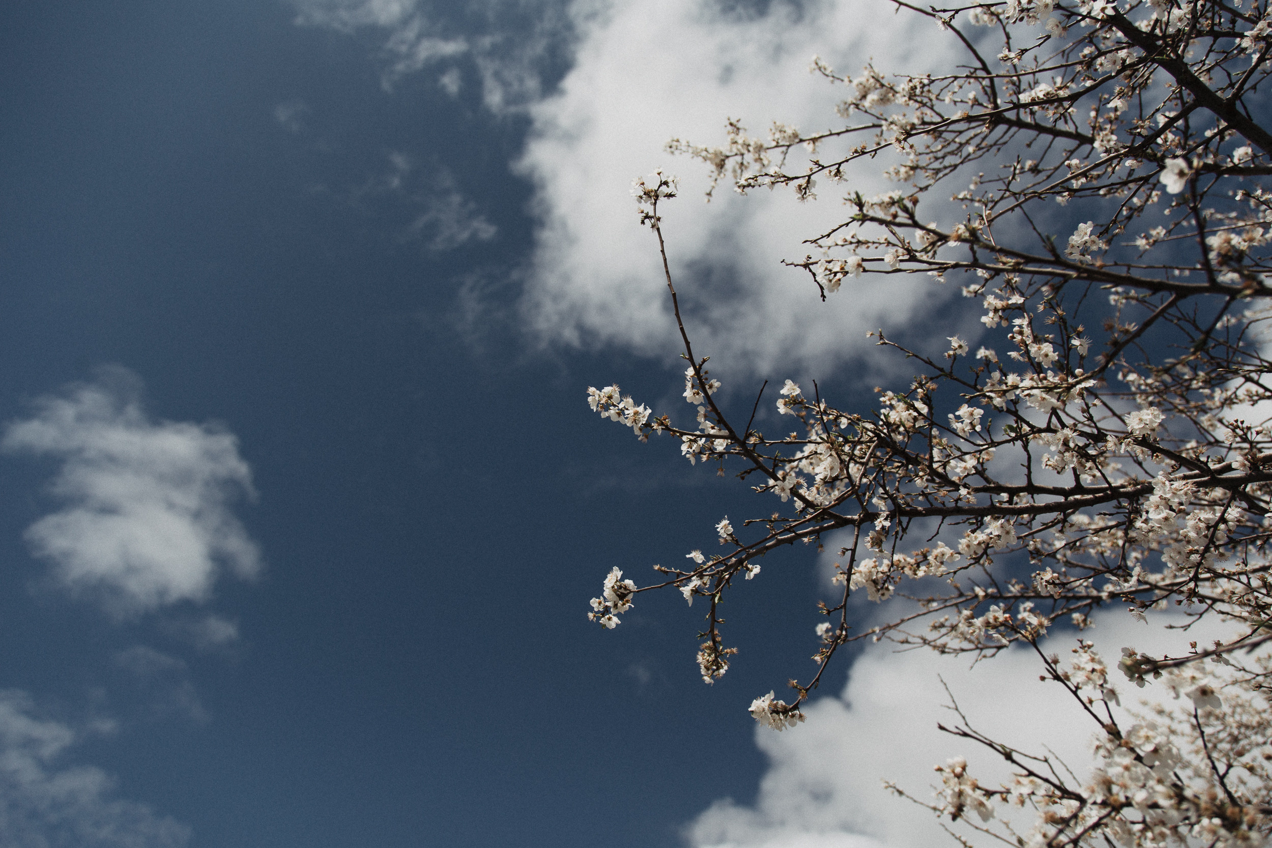 Анастасия и Артем / Bon Jovi