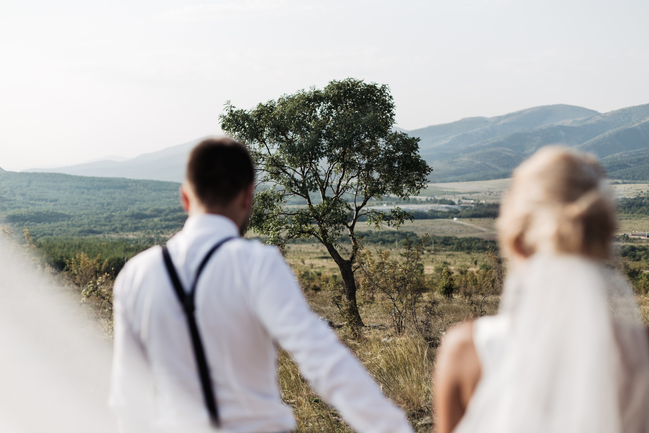 Вова и Лена / идеальный день. свадьба для двоих