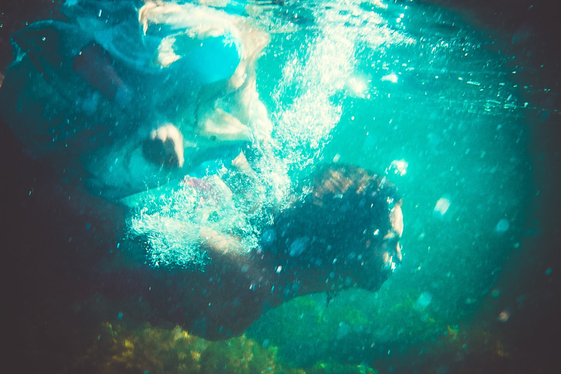 Портфолио. Главная