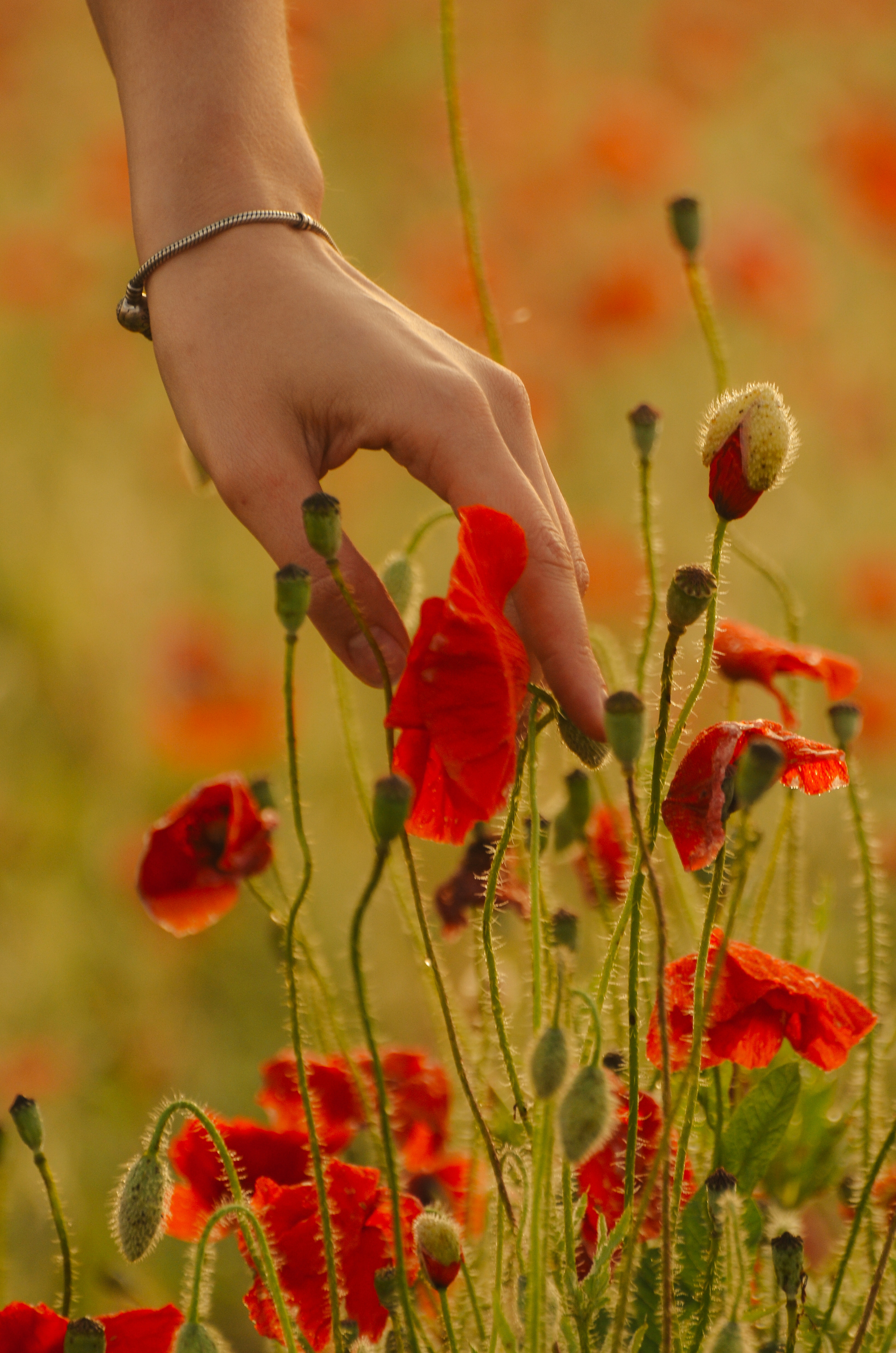 Индивидуальная женская съемка. Фотограф Мария Прокофьева в Санкт-Петербурге и ЛО