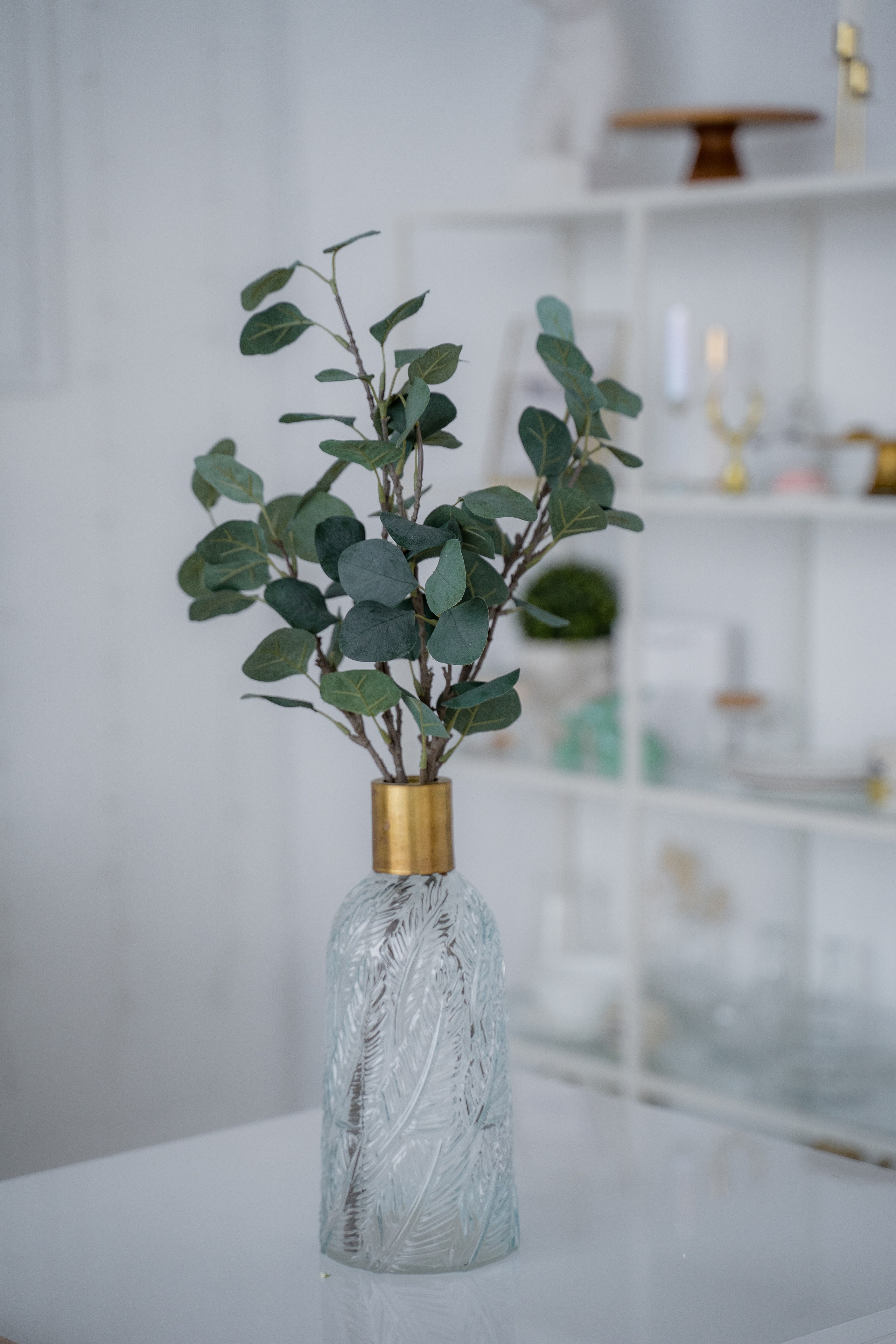 Фотостудия. Фотостудия Малина в городе Улан-Удэ. Фотограф Ирина Жарникова