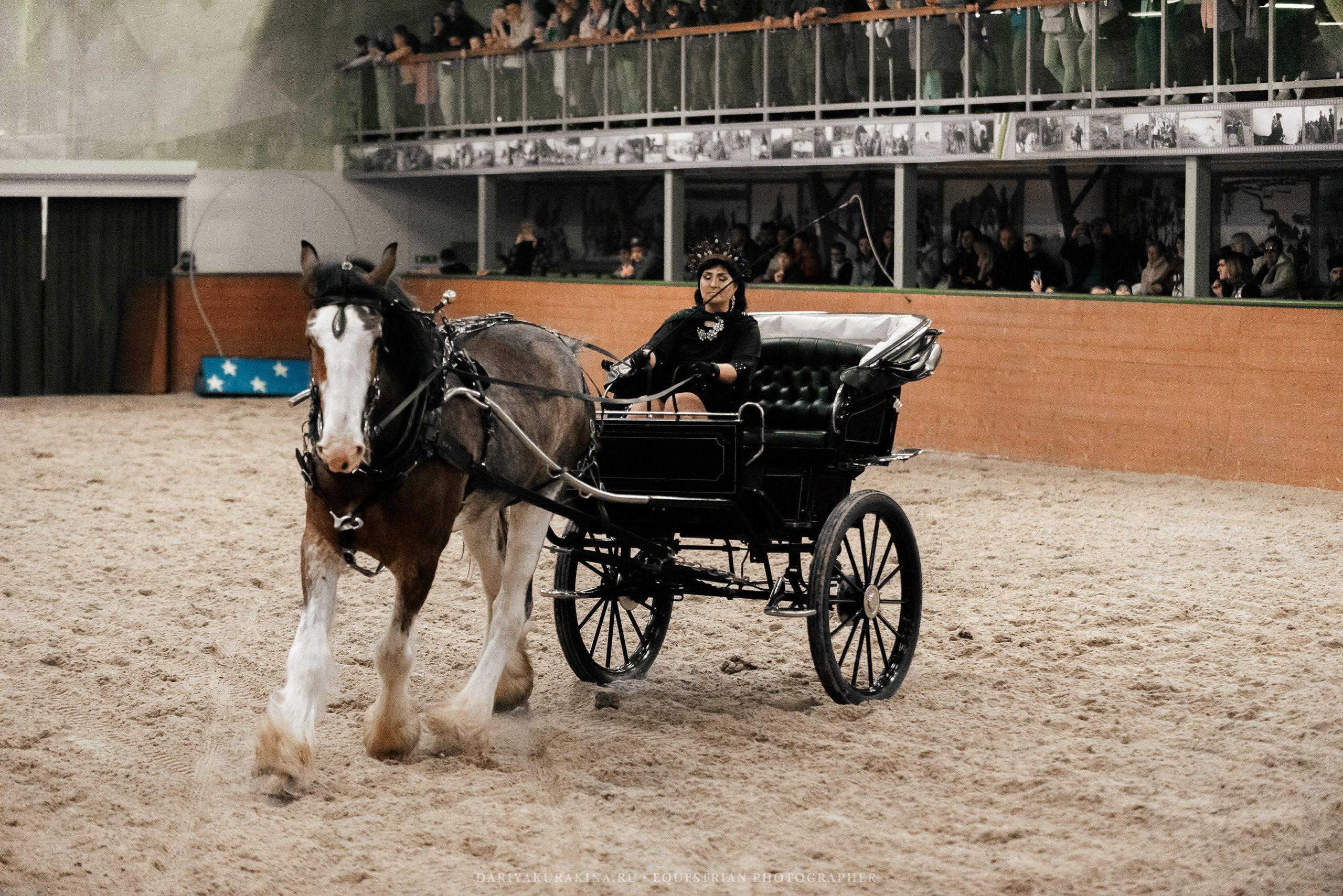 Конное представление «Дыхание Звёзд». Конный фотограф Куракина Дарья • Фотосессии с лошадьми