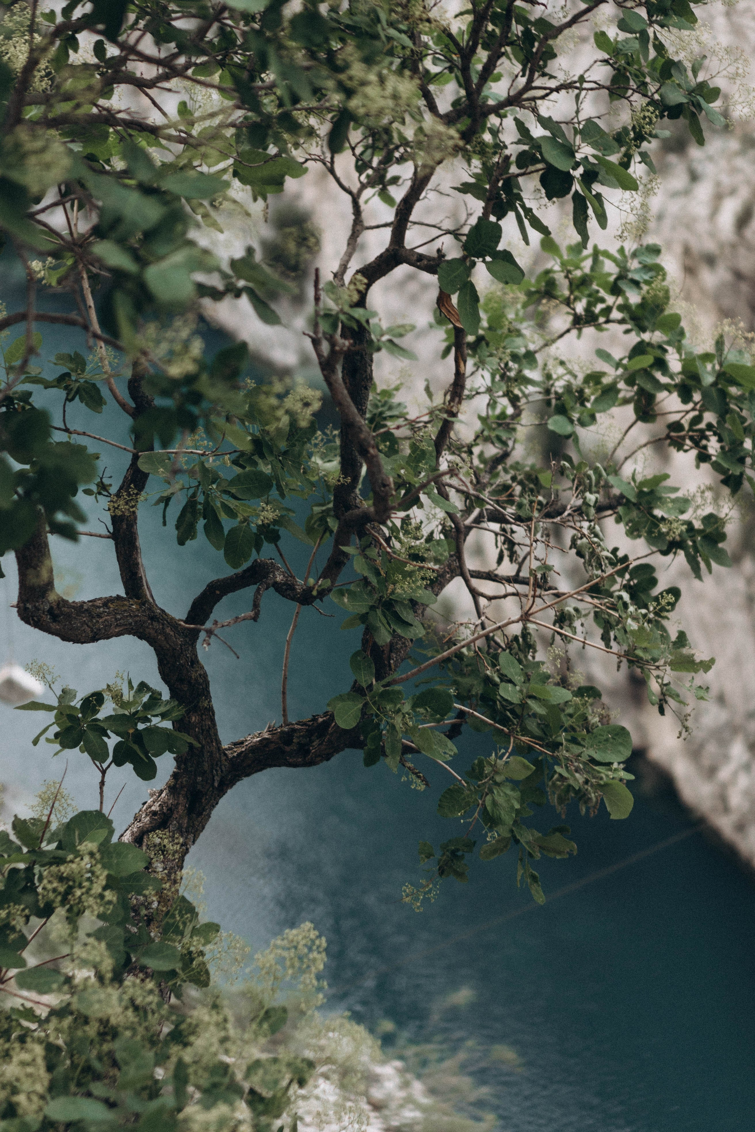 Кавказ. Профессиональный фотограф, Санкт-Петербург — Виктория Богомолова