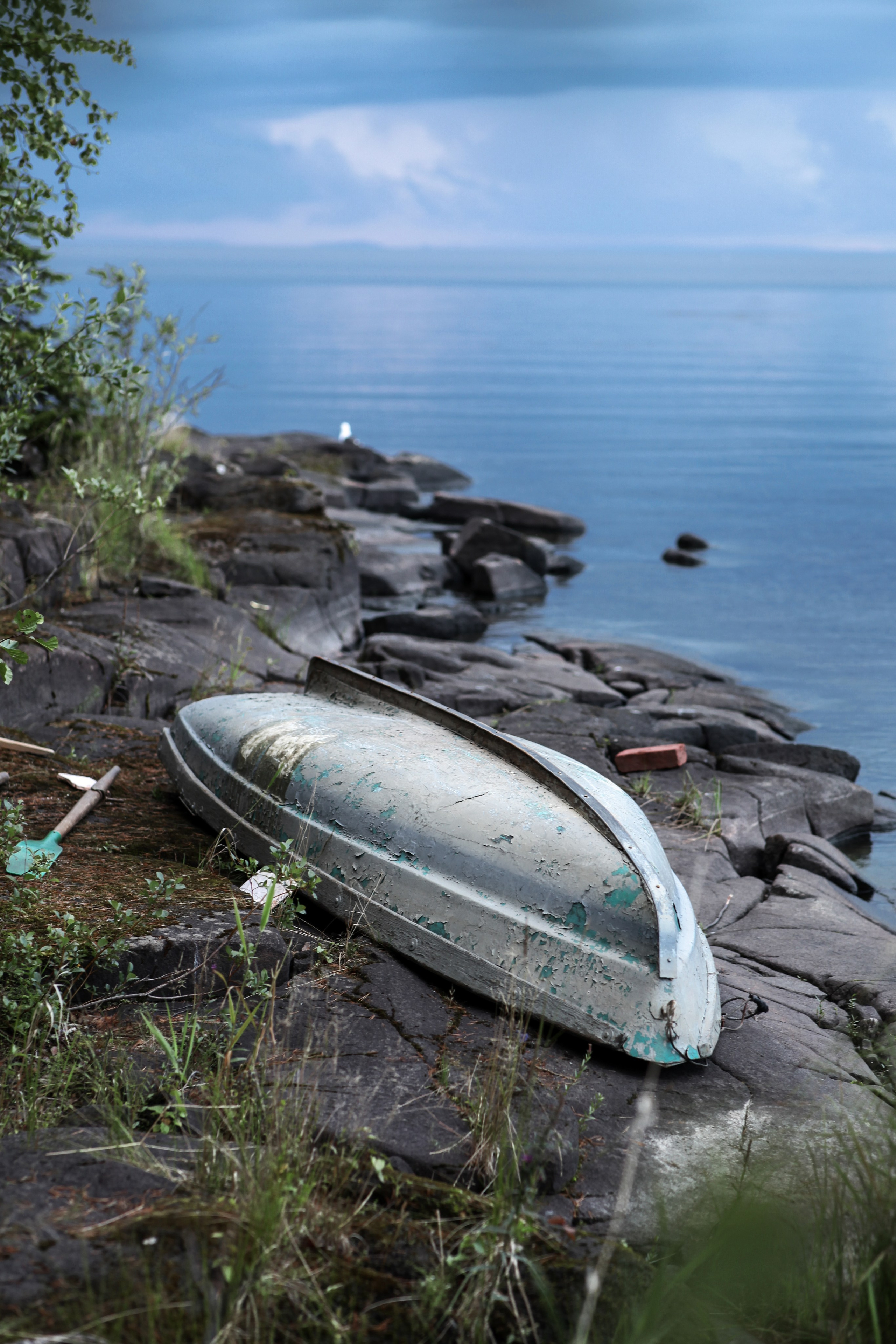 Природа. Трандин Иван Фотограф СПб