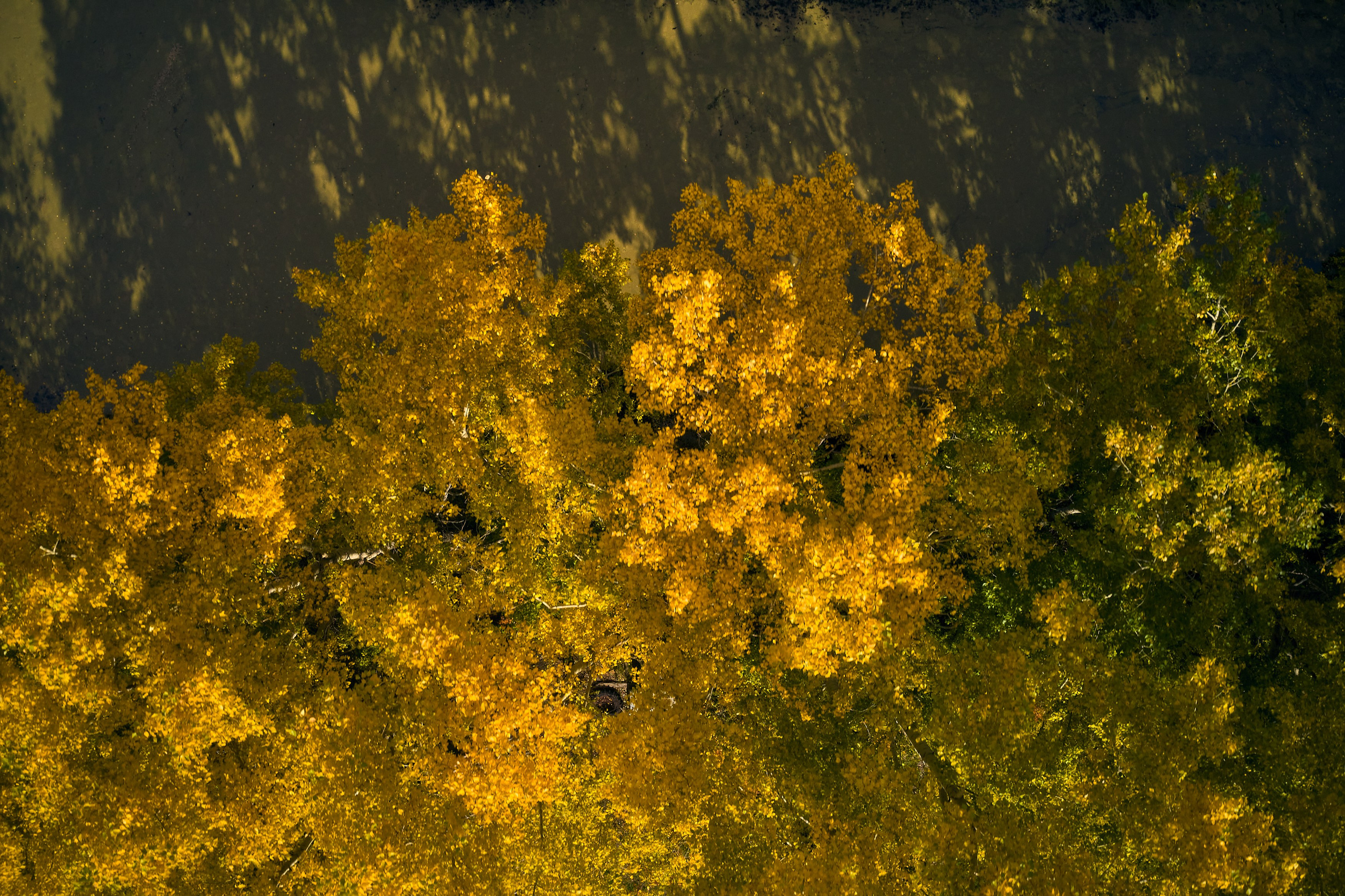 Съемка в полете. DMITRY MOISEENKO — фотограф, художник, топ-стилист