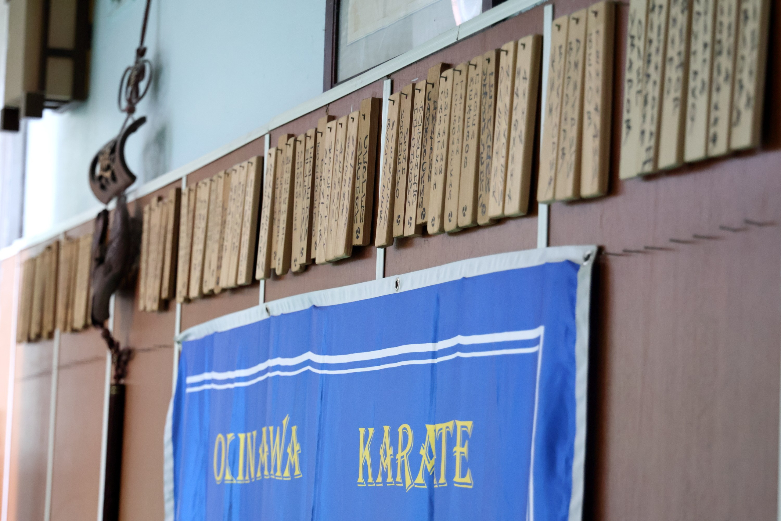 Вручение поясов в школе Окинава каратэ. Спортивный и репортажный фотограф Ермакова Светлана