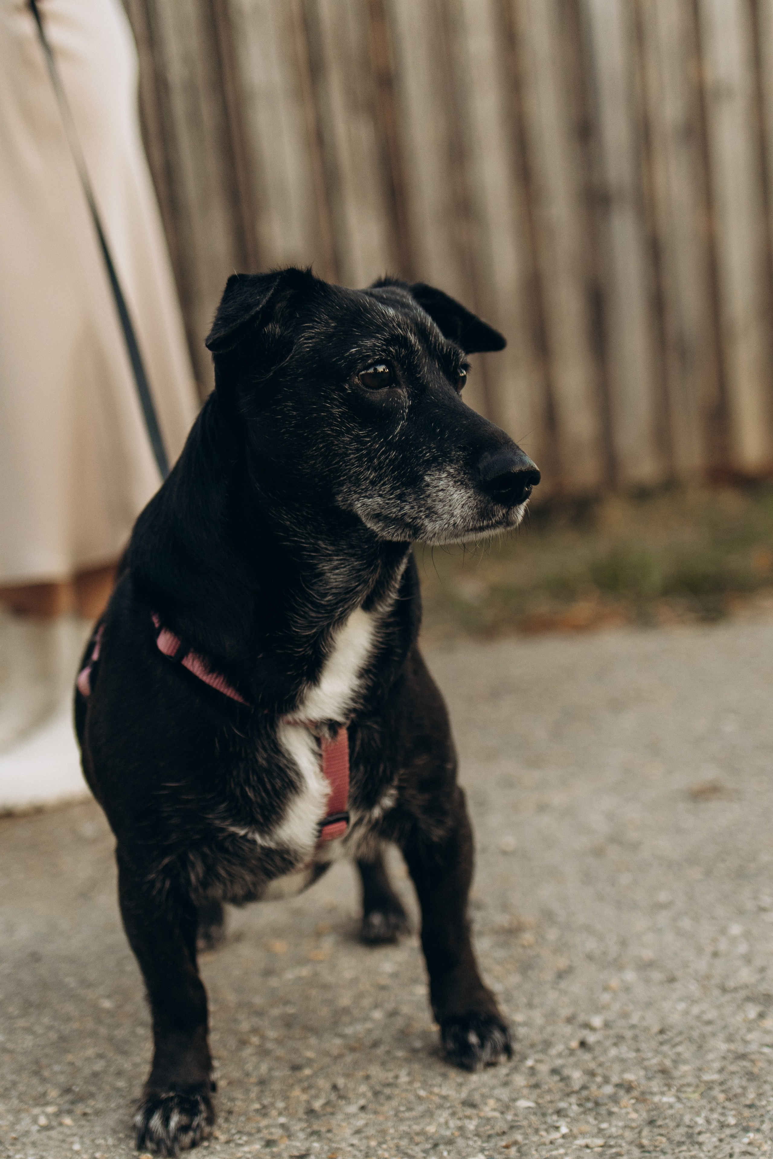 Влад и Ксюша. Самый теплый фотограф в Краснодаре Рябоконь Ксения