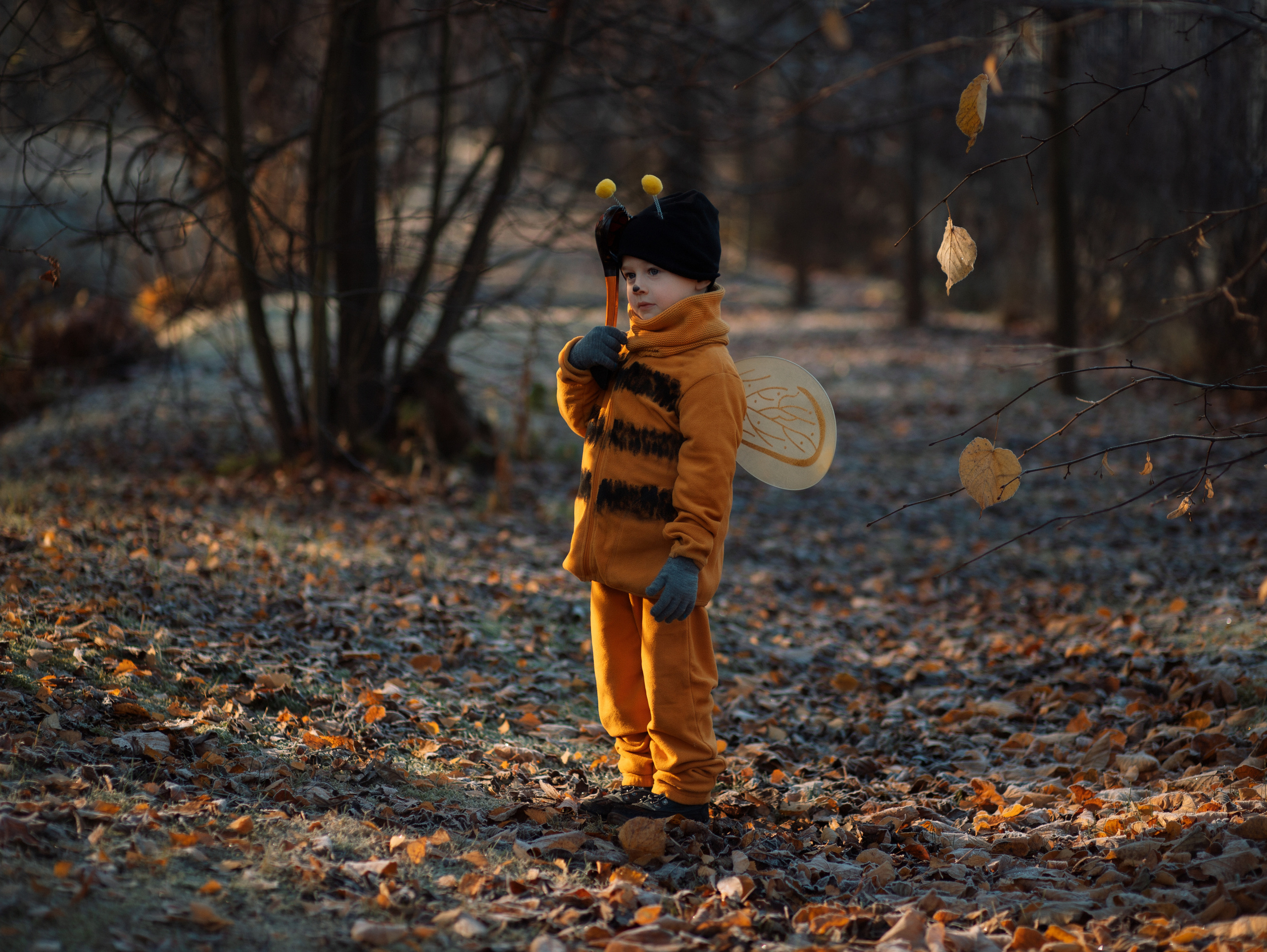 Осенняя пчелка. Семейный фотограф в Санкт-Петербурге Ирина Иванова