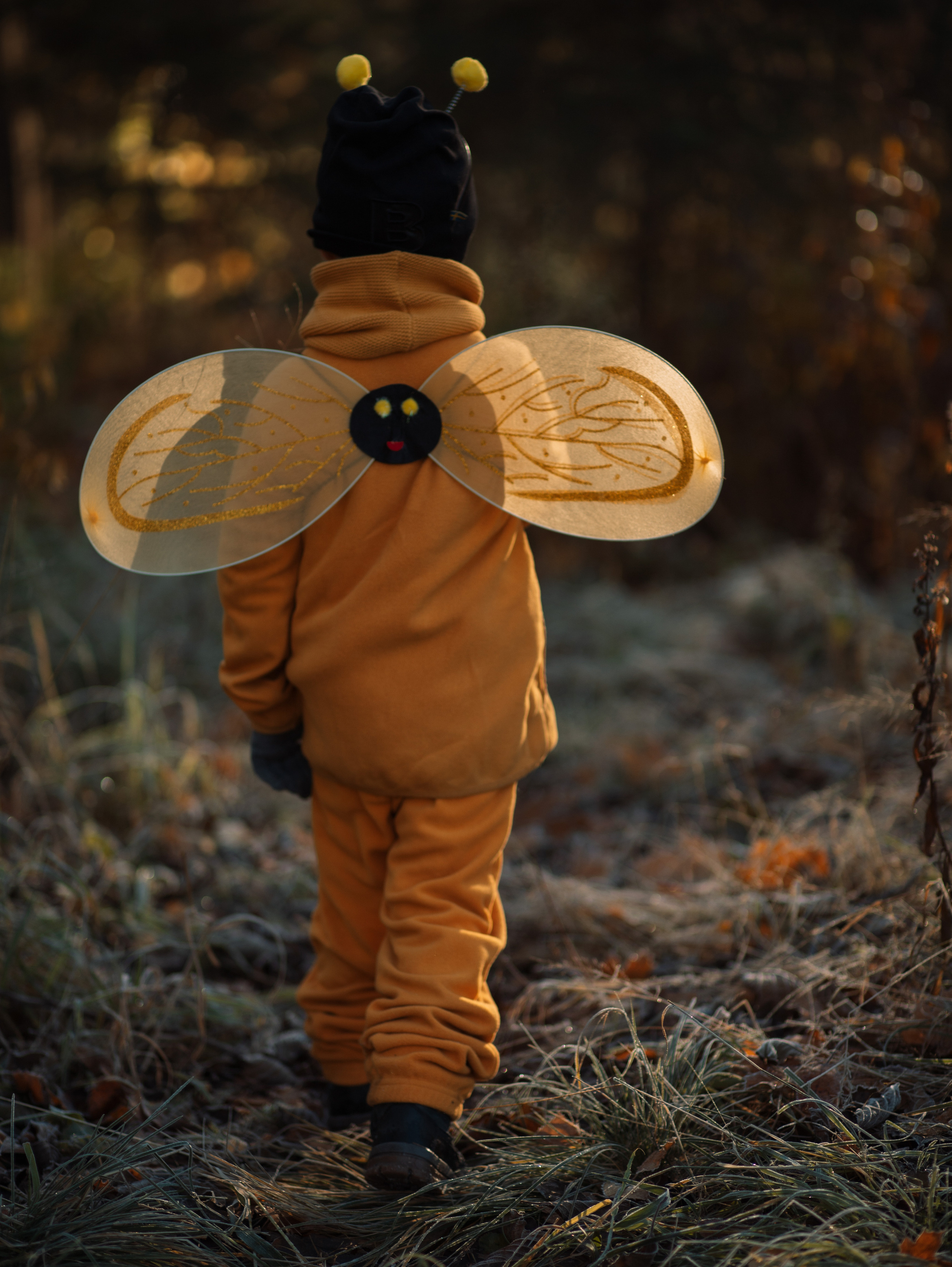 Осенняя пчелка. Семейный фотограф в Санкт-Петербурге Ирина Иванова