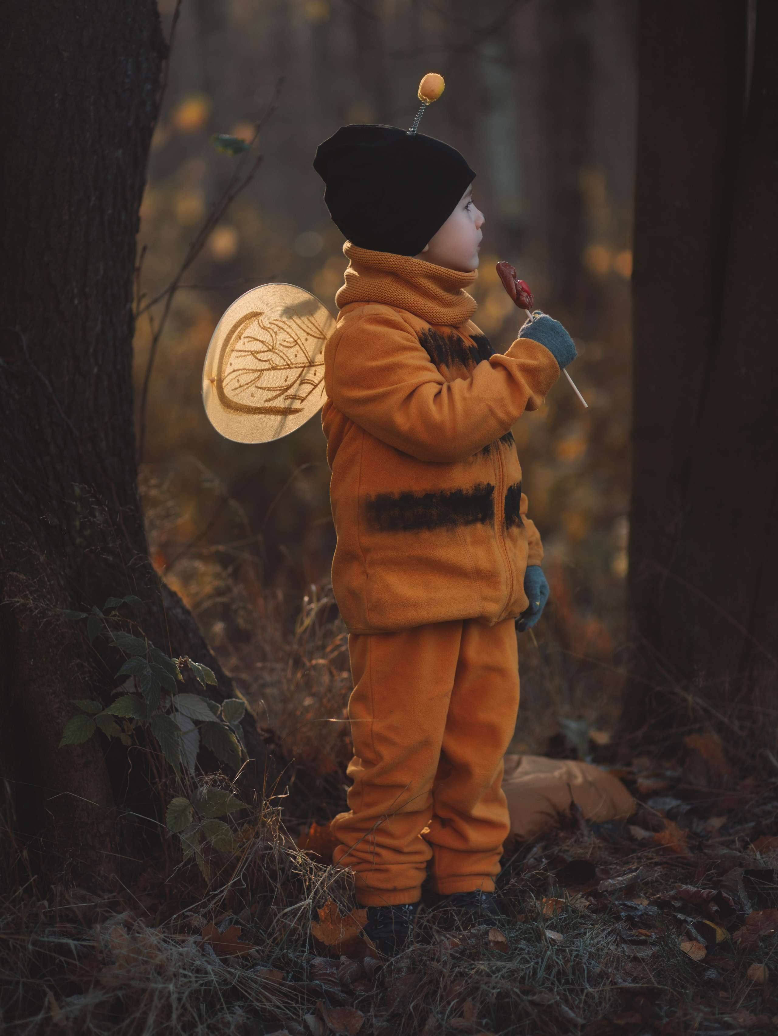 Осенняя пчелка. Семейный фотограф в Санкт-Петербурге Ирина Иванова
