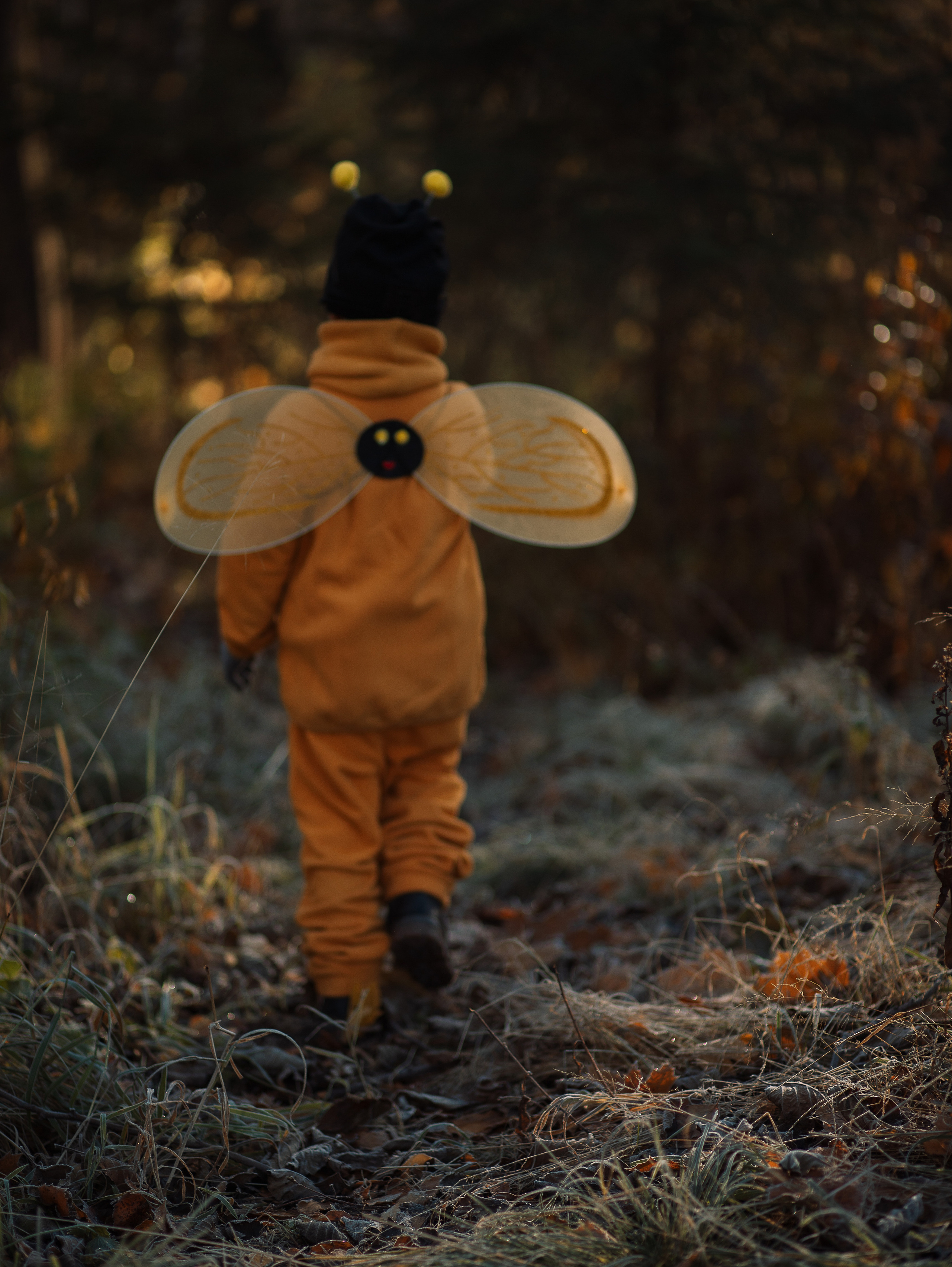Осенняя пчелка. Семейный фотограф в Санкт-Петербурге Ирина Иванова