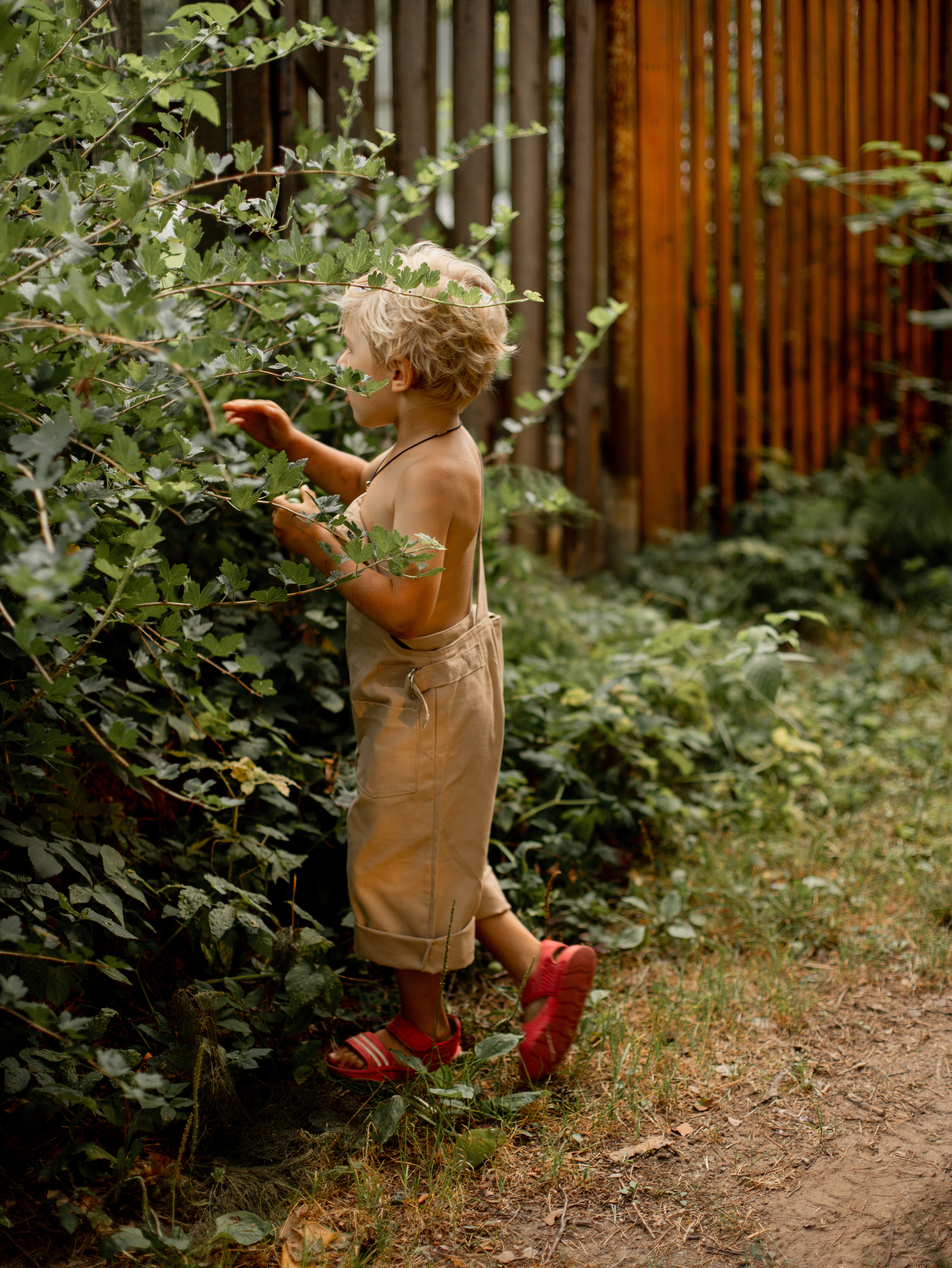 Дачная история. Семейный фотограф в Санкт-Петербурге Ирина Иванова